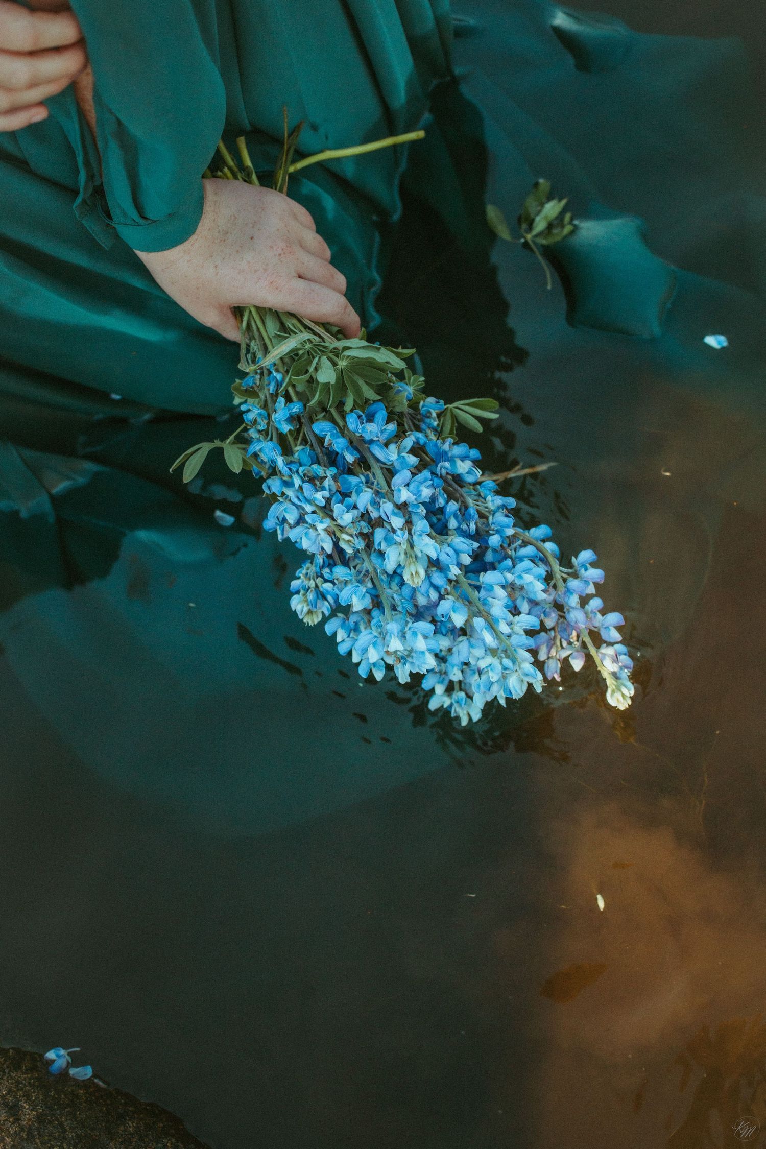 Bunch of delicate blue flowers held over dark reflective water with teal fabric visible.