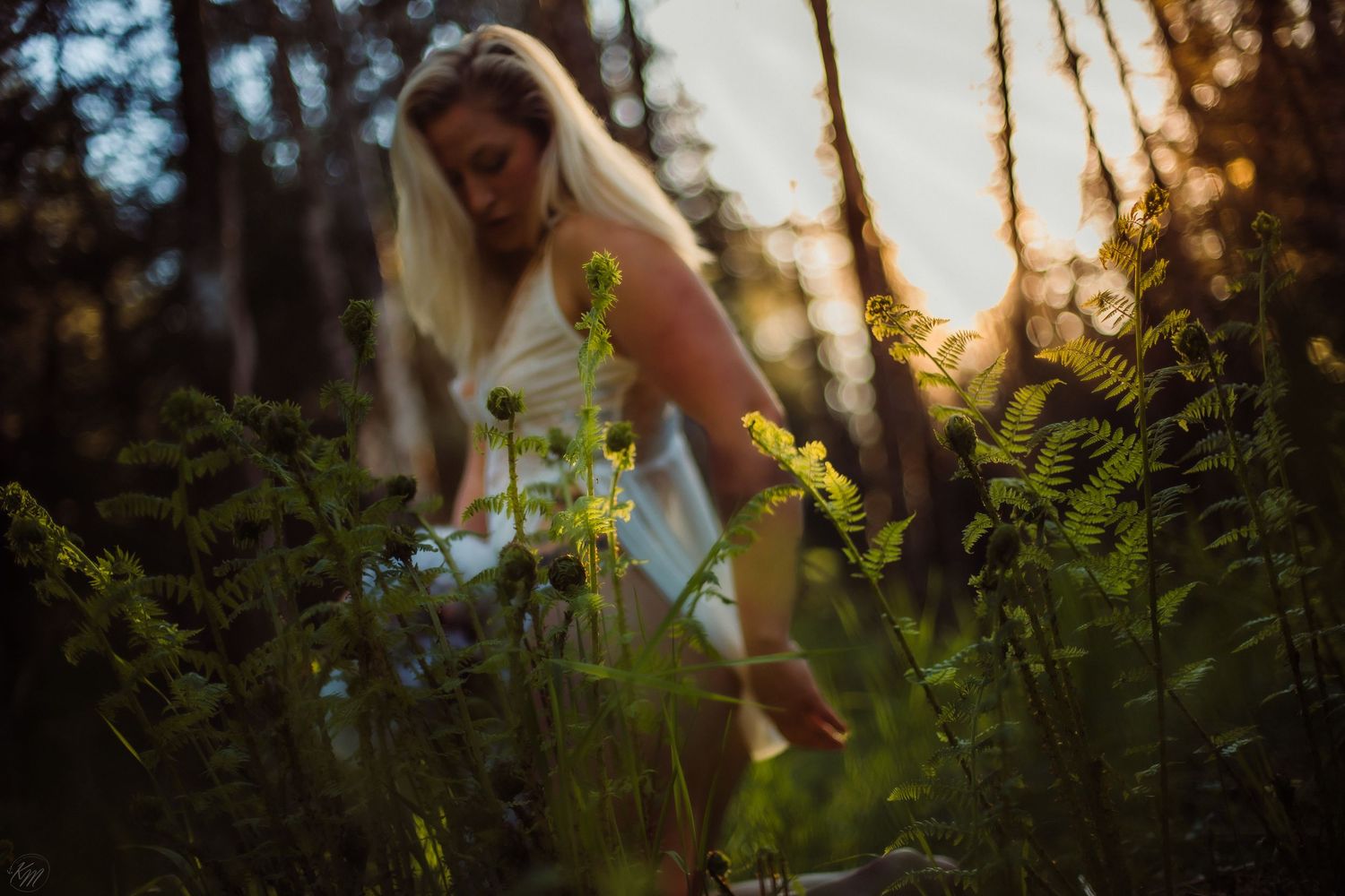 A blonde woman in a white dress bends among ferns and wildflowers in a sun-drenched forest at golden hour.