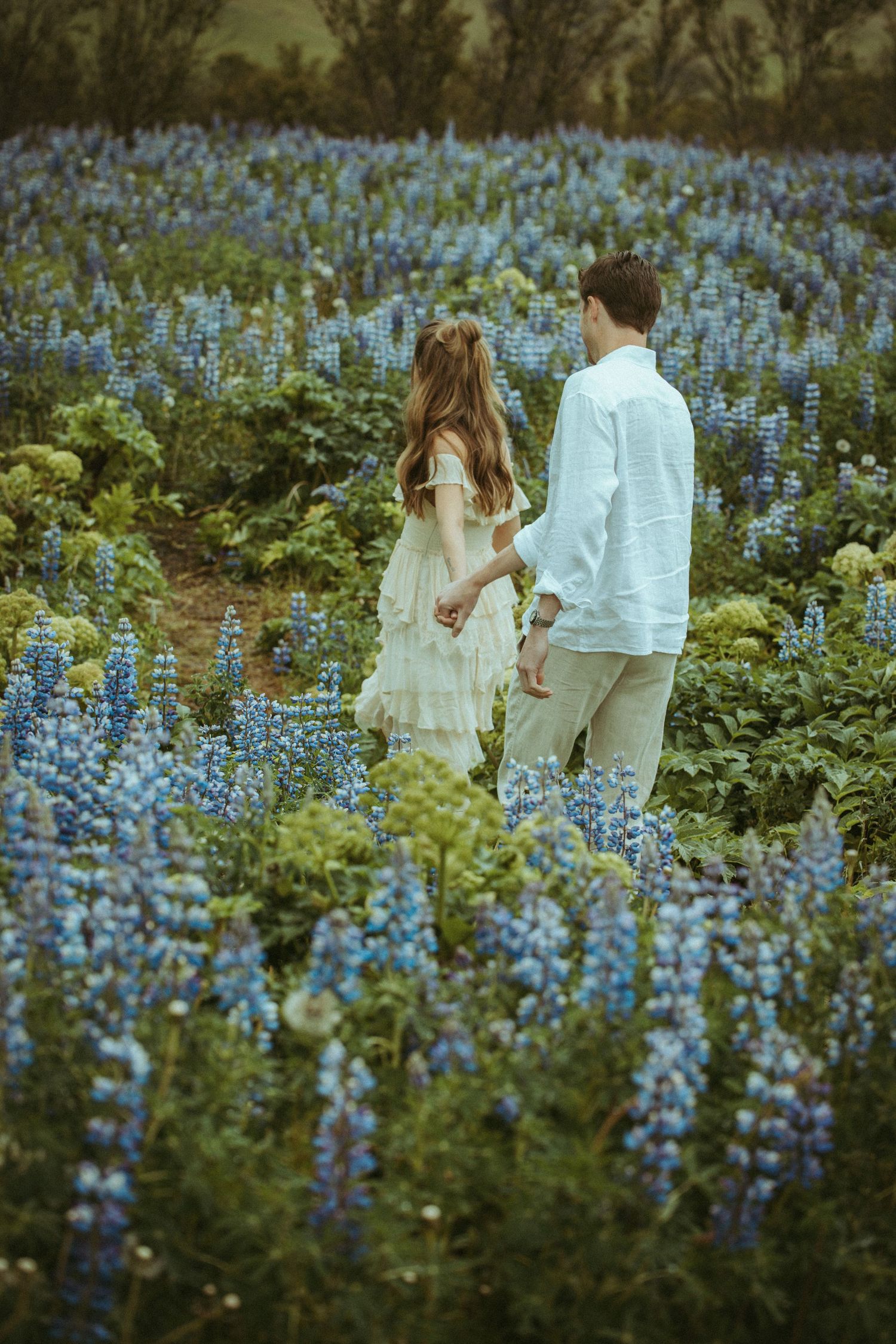 Couple holding hands walking through vibrant blue lupine flower field in romantic outdoor setting.