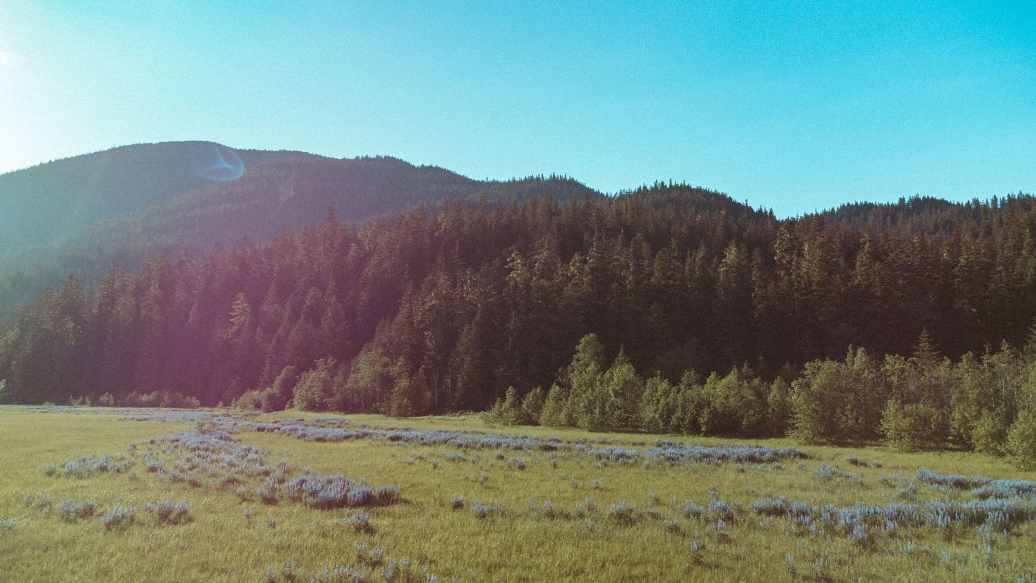 Mountain landscape with river valley and forested slopes under blue sky.
