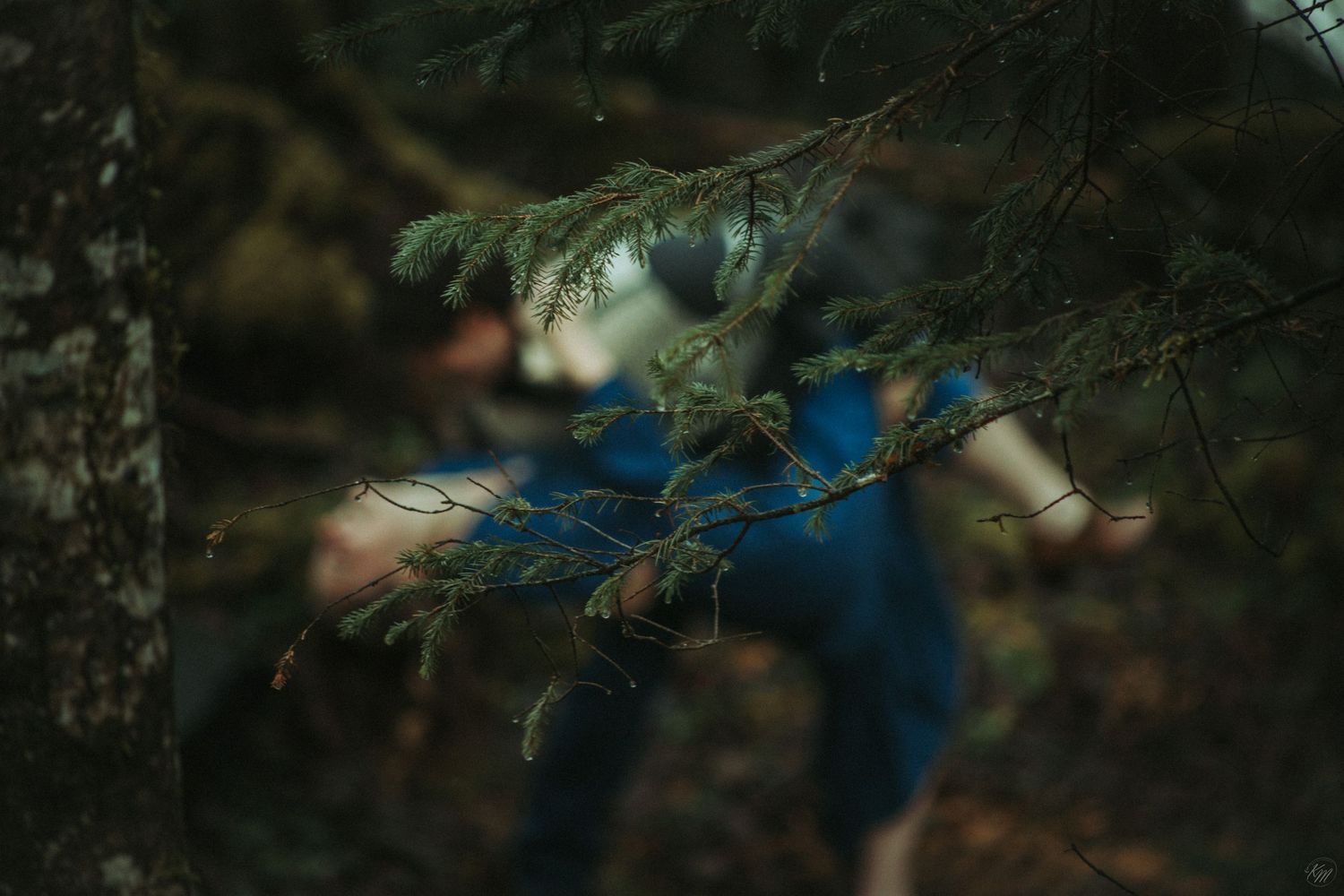 A moody forest scene with a blue blur of motion behind pine branches in dark atmospheric lighting in Southeast Alaska.