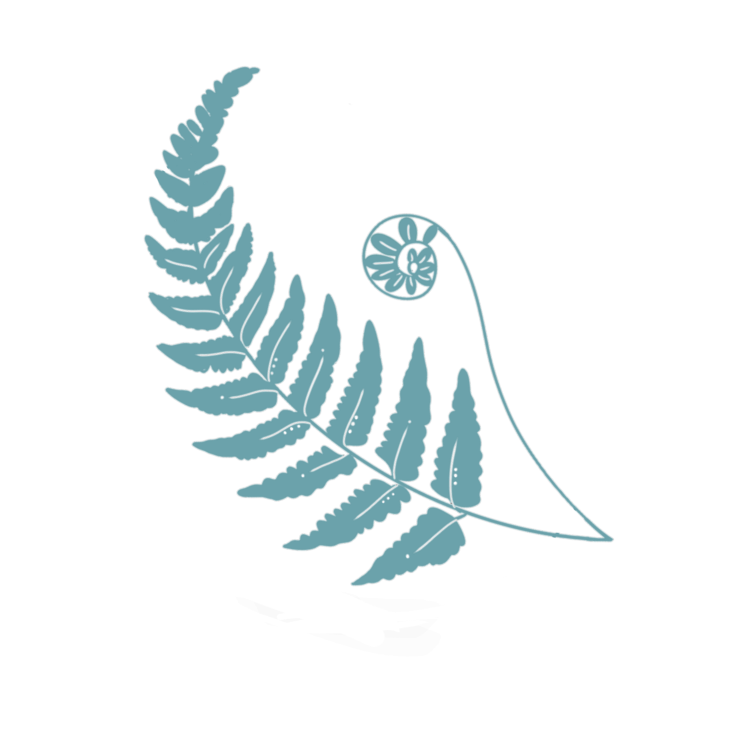 Elegant teal fern illustration with a curling frond on a white background.