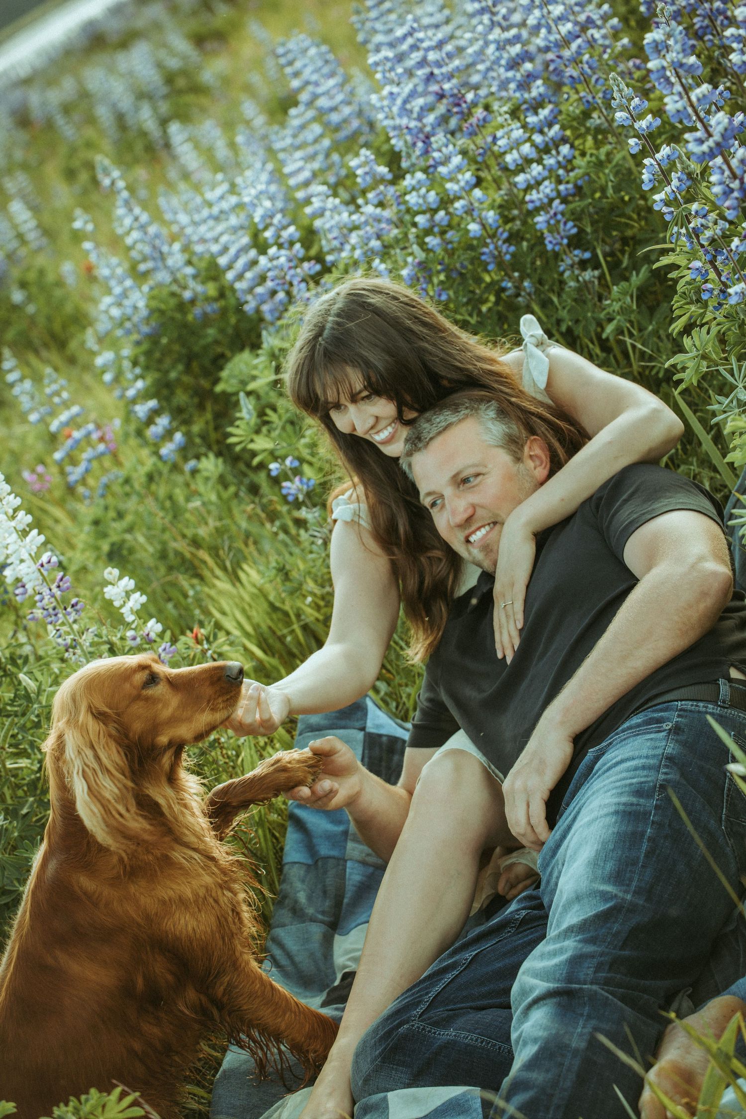 A couple relaxes in an Alaska meadow with purple flowers while petting their golden retriever dog in summer.