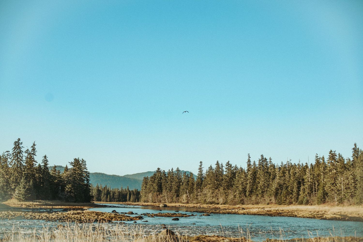 A scenic mountain lake surrounded by evergreen forest under clear blue skies.