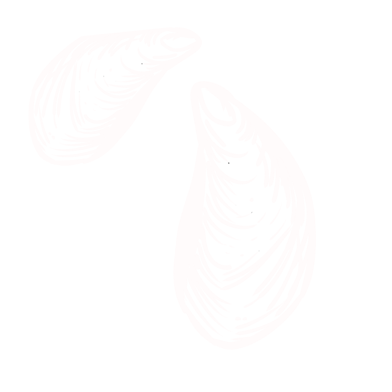 Two overlapping white leaf illustrations on a clean white background.