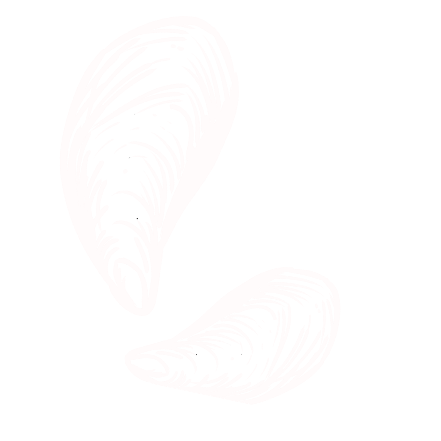 Delicate white outline illustration of a swan on a clean white background in minimalist style.
