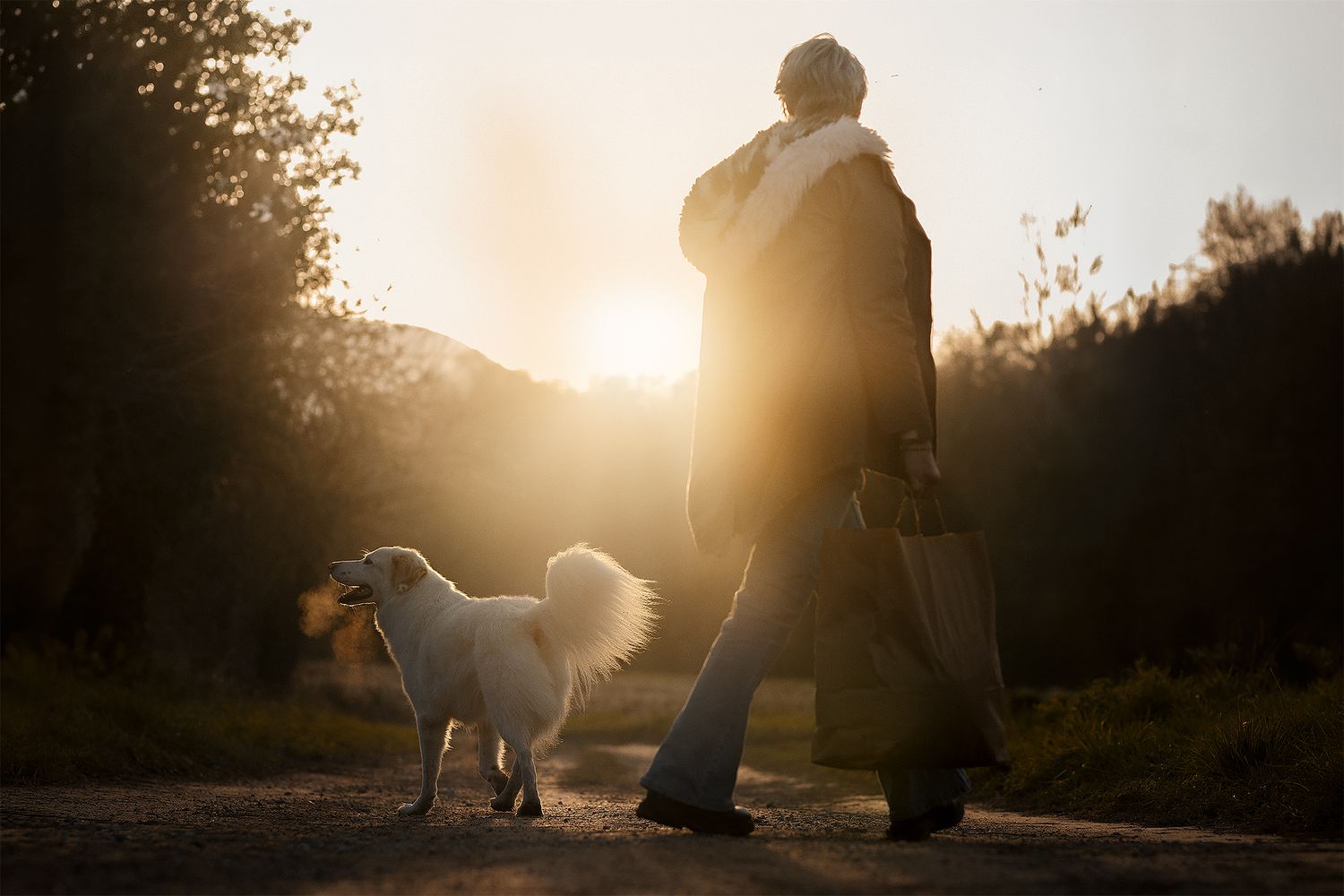 Fotografia Cani a Cuneo e provincia. Racconto