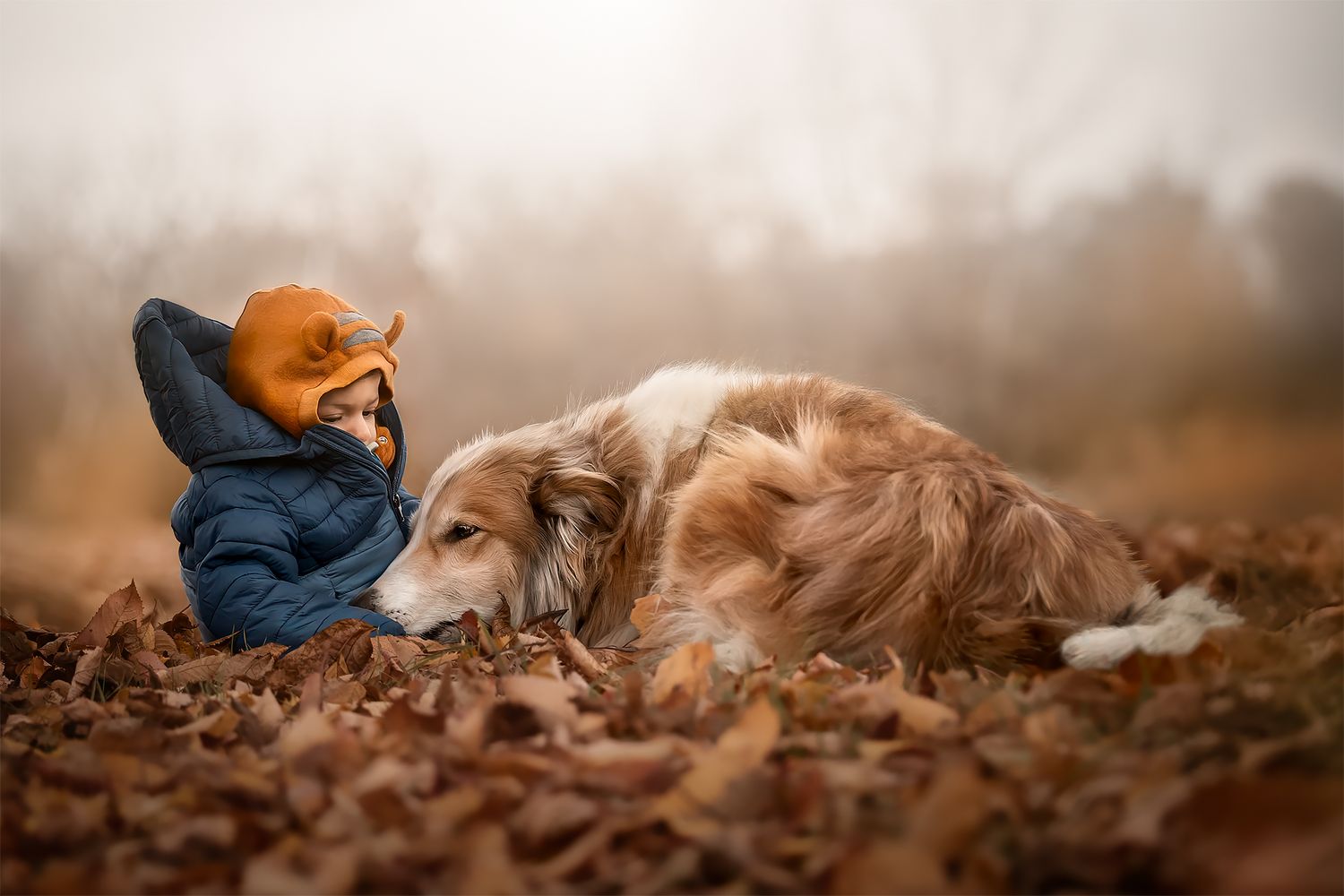 Fotografia Cani a Cuneo e provincia. Racconto