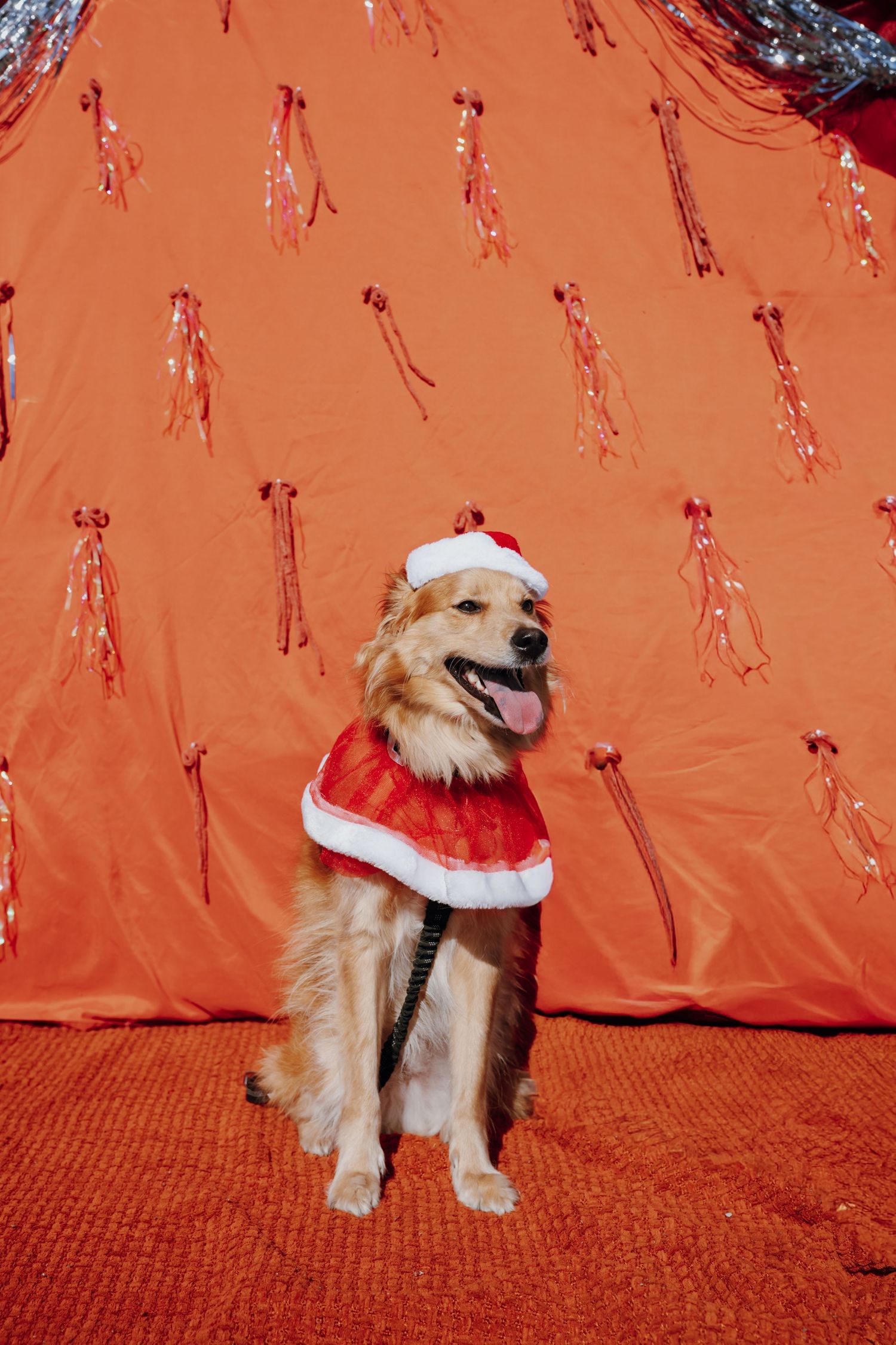 Golden Retriever dog wearing a Santa Claus costume and hat, sitting against a festive red background with silver tinsel.