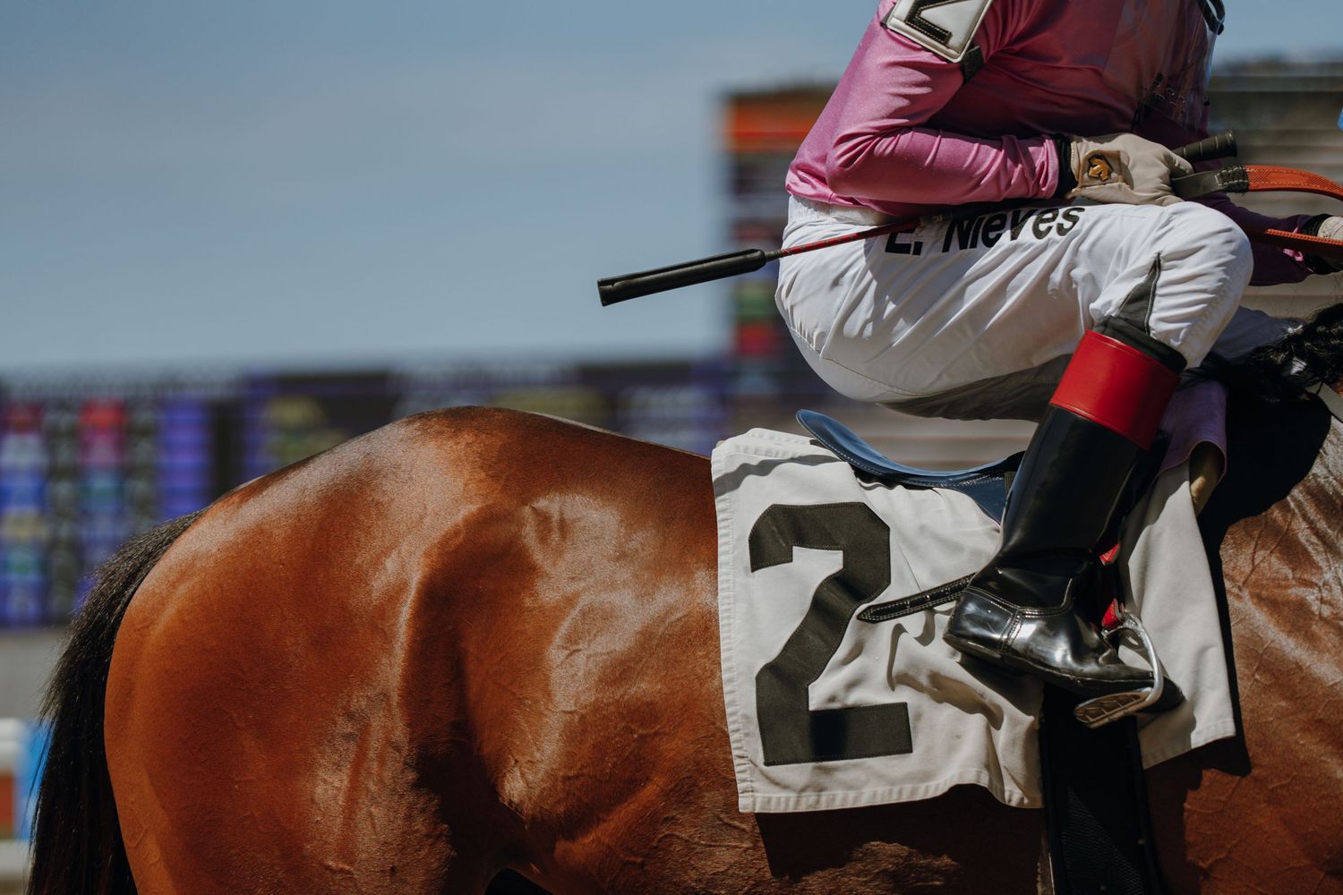 A jockey in pink and white silks rides horse number 2 at a horse racing track on a sunny day.