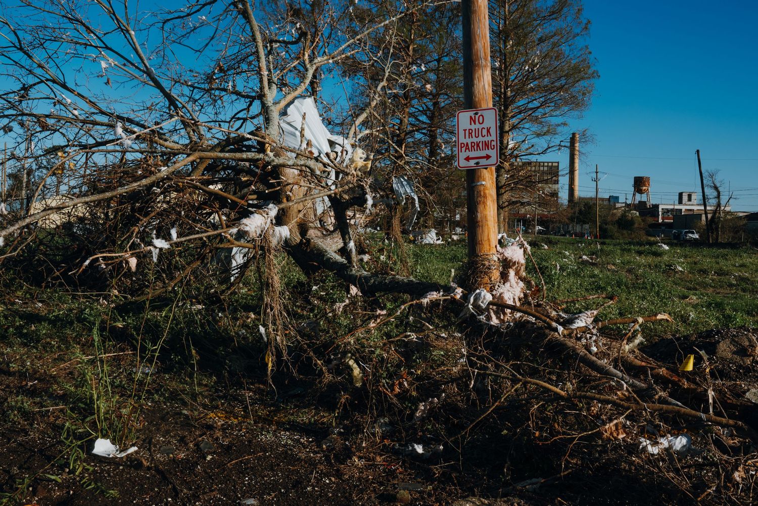 Fallen trees and debris piled against a utility pole with a no parking sign after a storm.