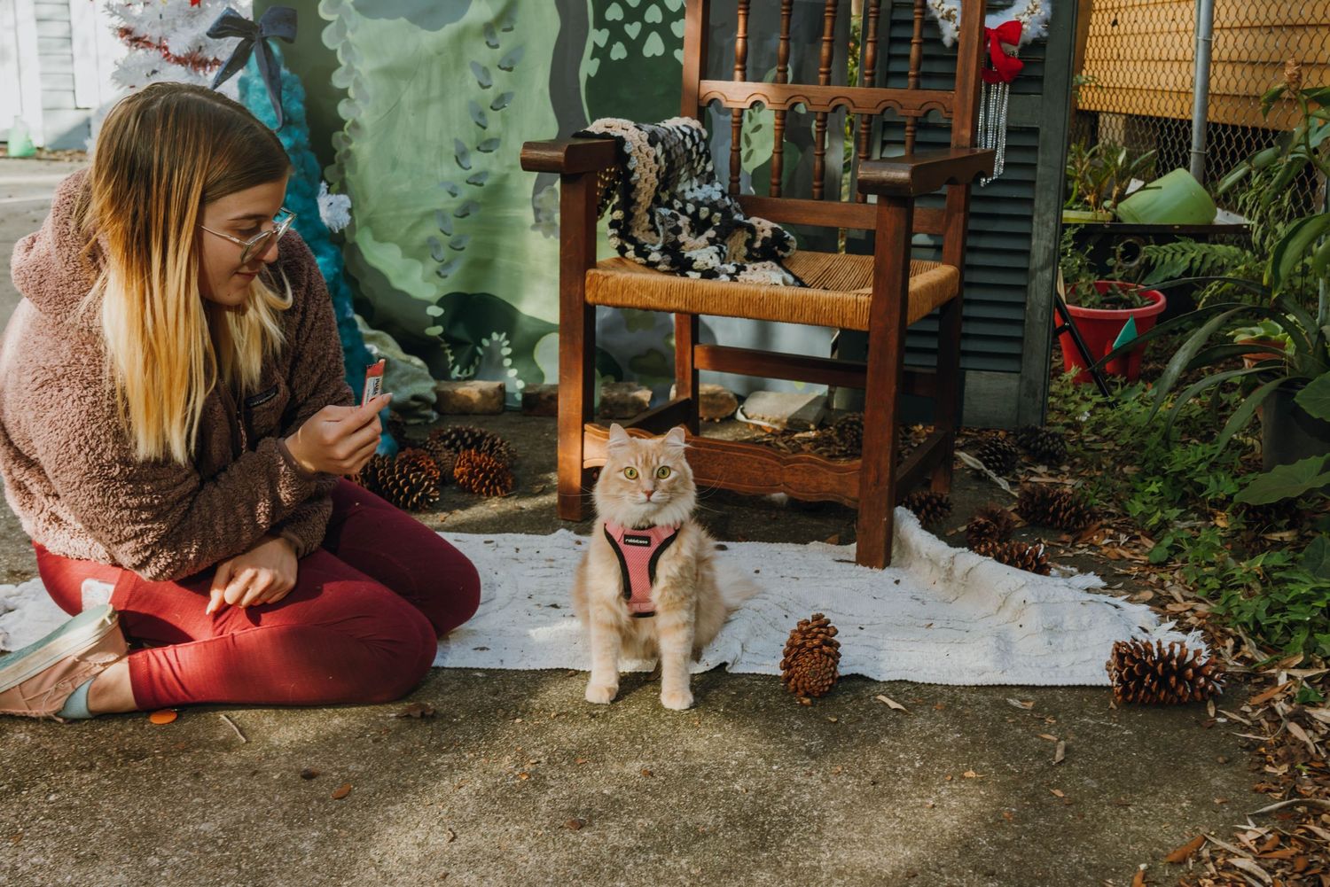 Woman sitting outdoors with an orange cat wearing a pink harness near pine cones and a wooden chair.