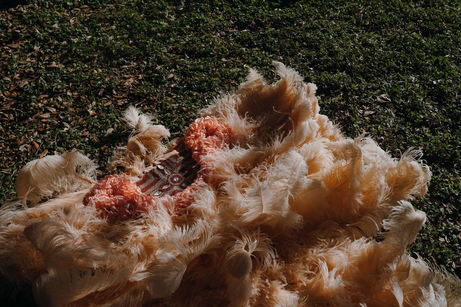 Close-up of cream and peach fluffy feathers from a Mardi Gras Indian costume resting on grass.