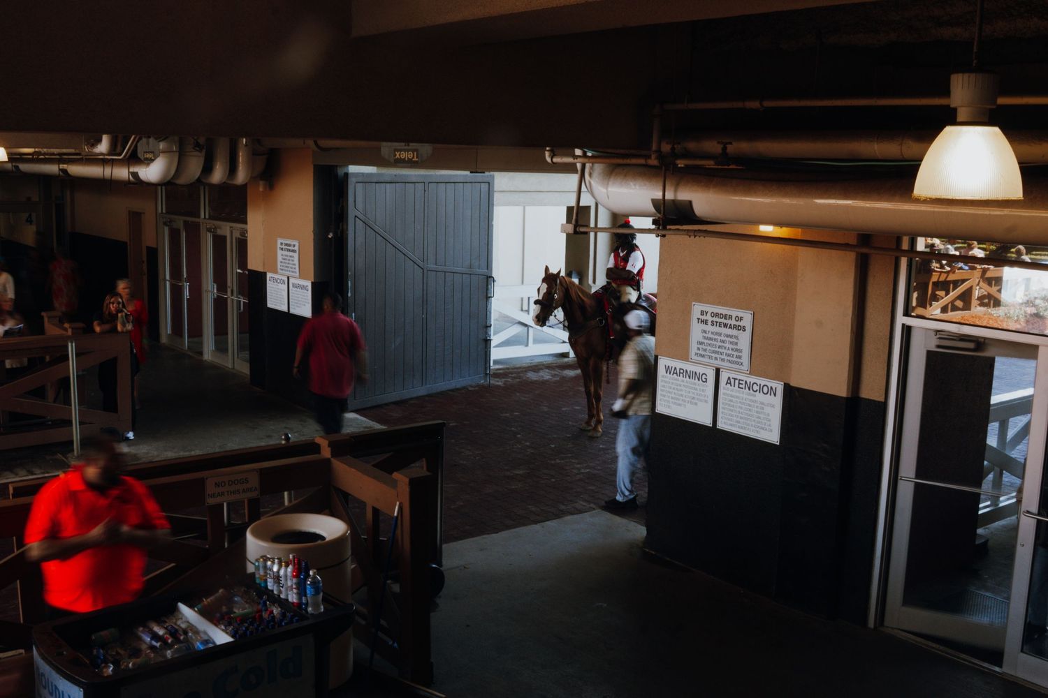 Person leading a horse through a dimly lit stable corridor at an equestrian facility.
