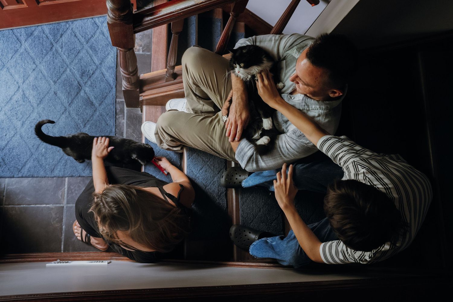 Overhead view of family sitting on stairs together playing with black and white cats at home.