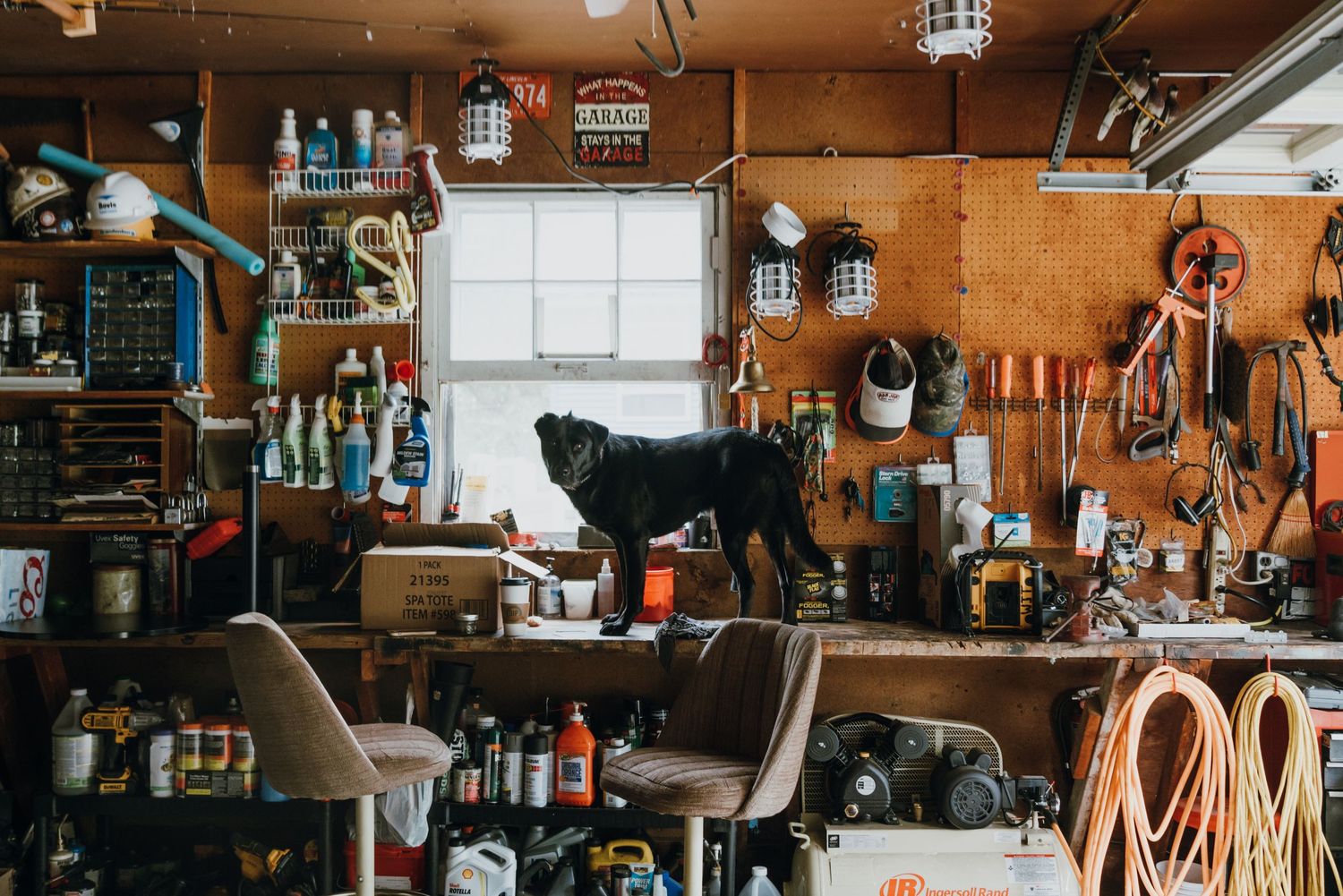 A black dog standing on a cluttered workbench in a rustic tool-filled garage workshop.