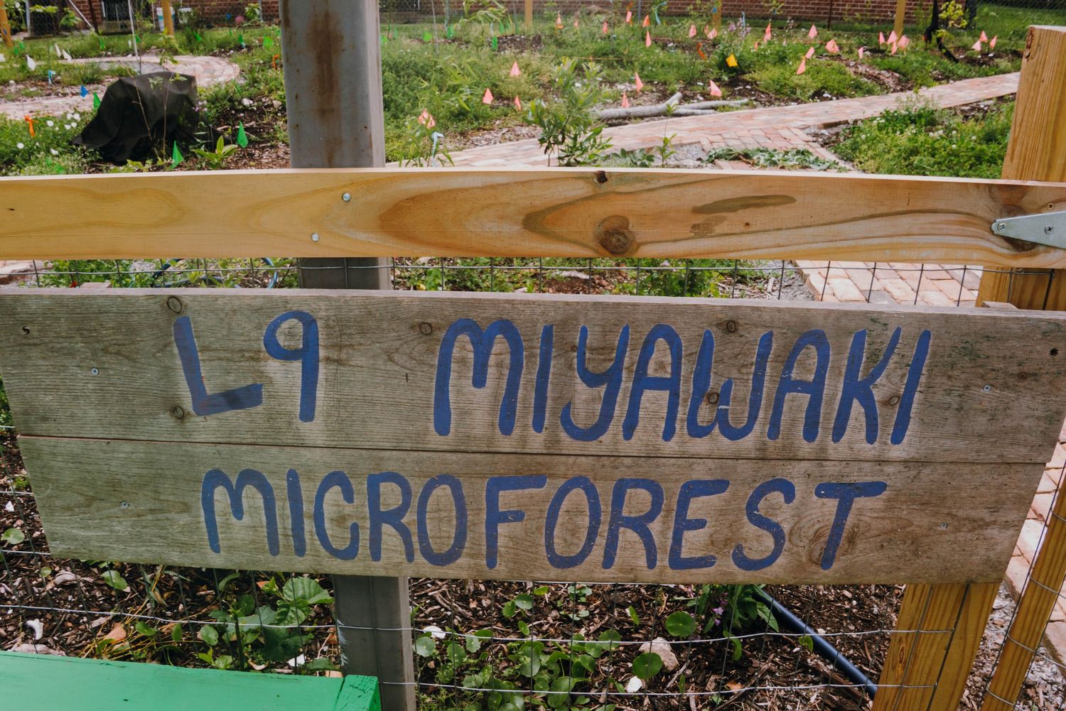 Wooden sign reads La Miyawaki Microforest in a community garden.
