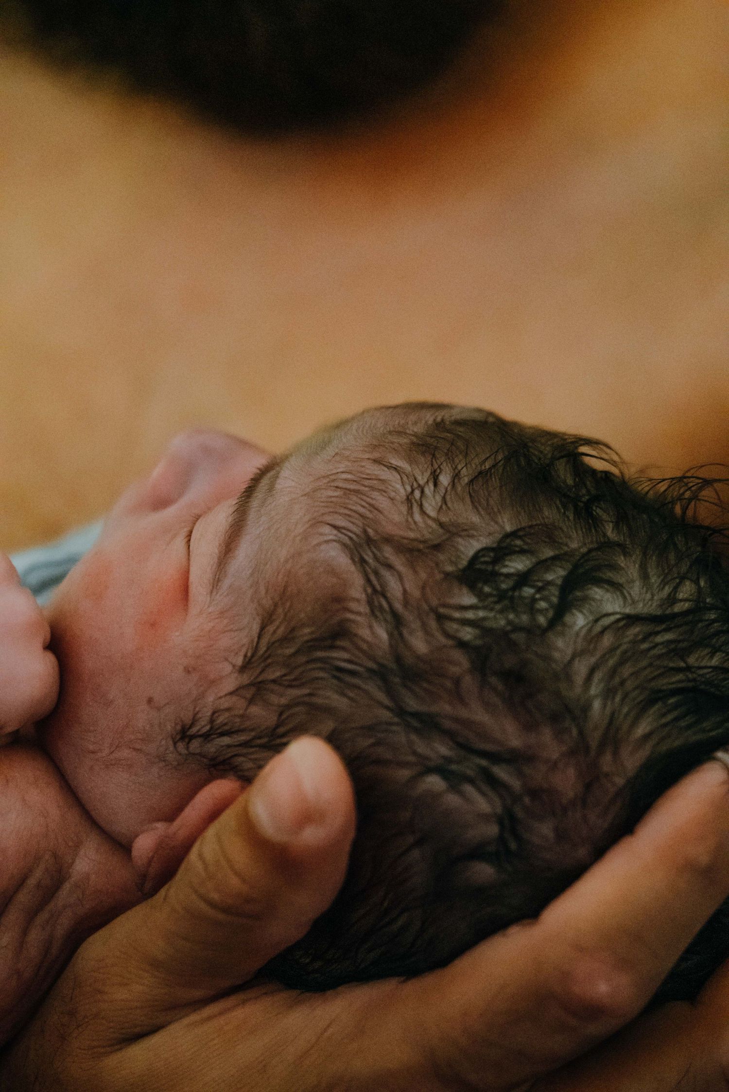 Close-up of newborns wet dark hair being gently cradled in hands after birth.