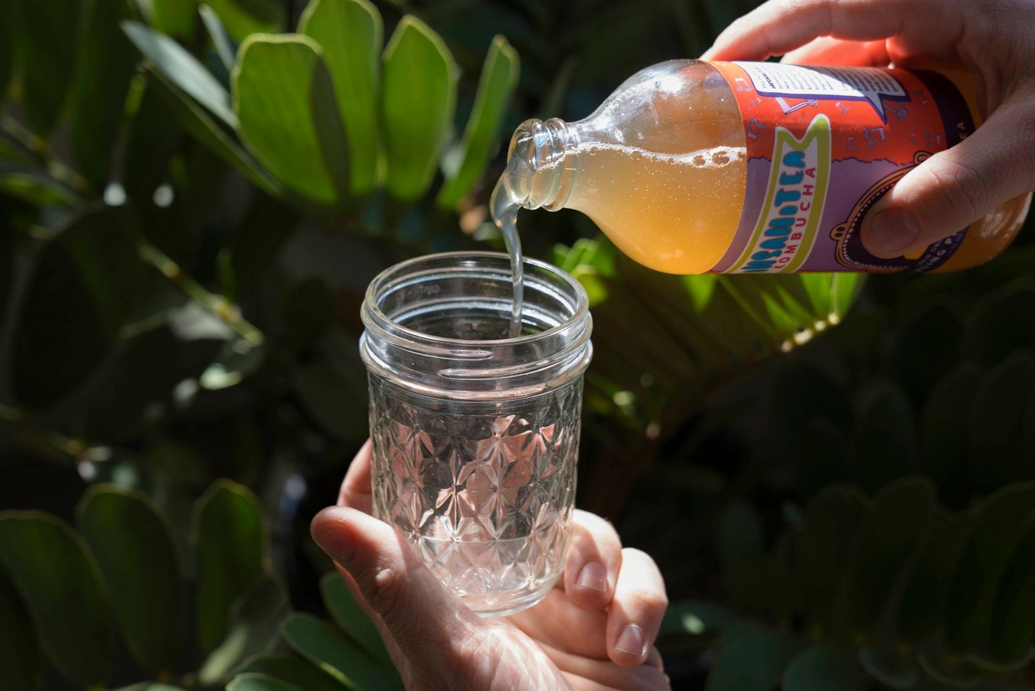 Hand pouring Insani-Tea Kombucha into a glass mason jar outdoors in natural sunlight.