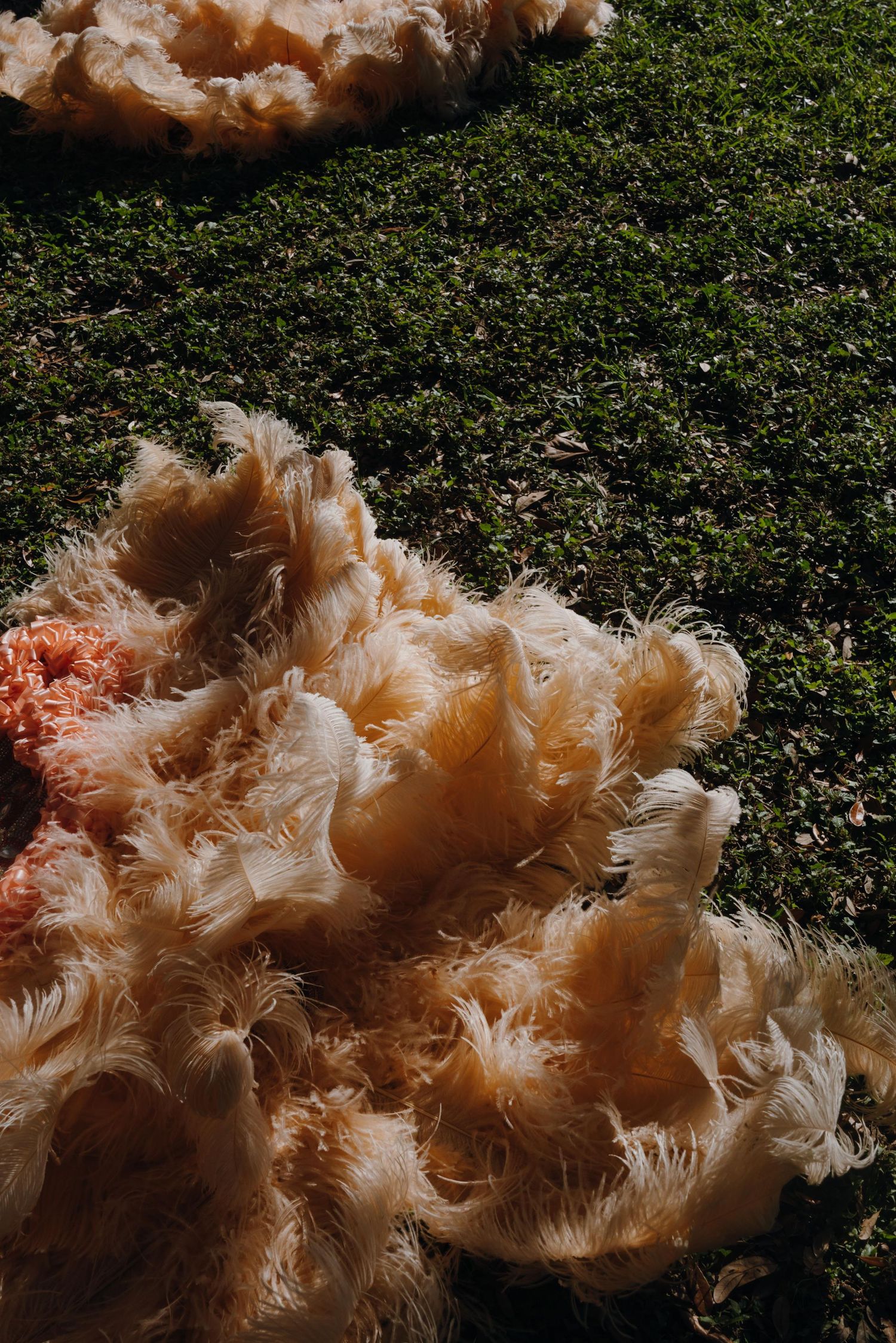 Fluffy peach-colored feathered costume pieces laid out on green grass in sunlight.