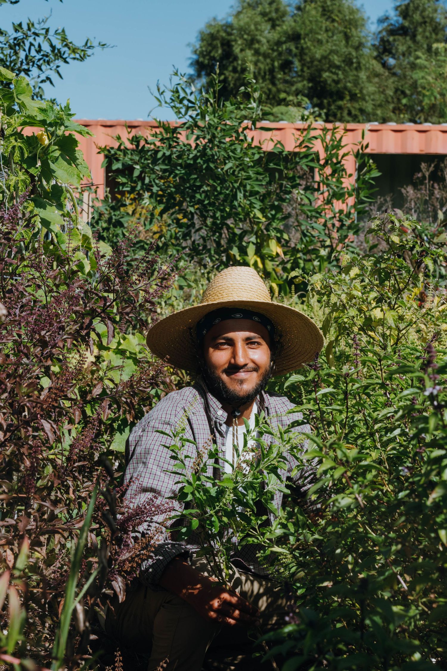 Smiling man in a straw hat kneeling among lush green garden plants on a sunny day.