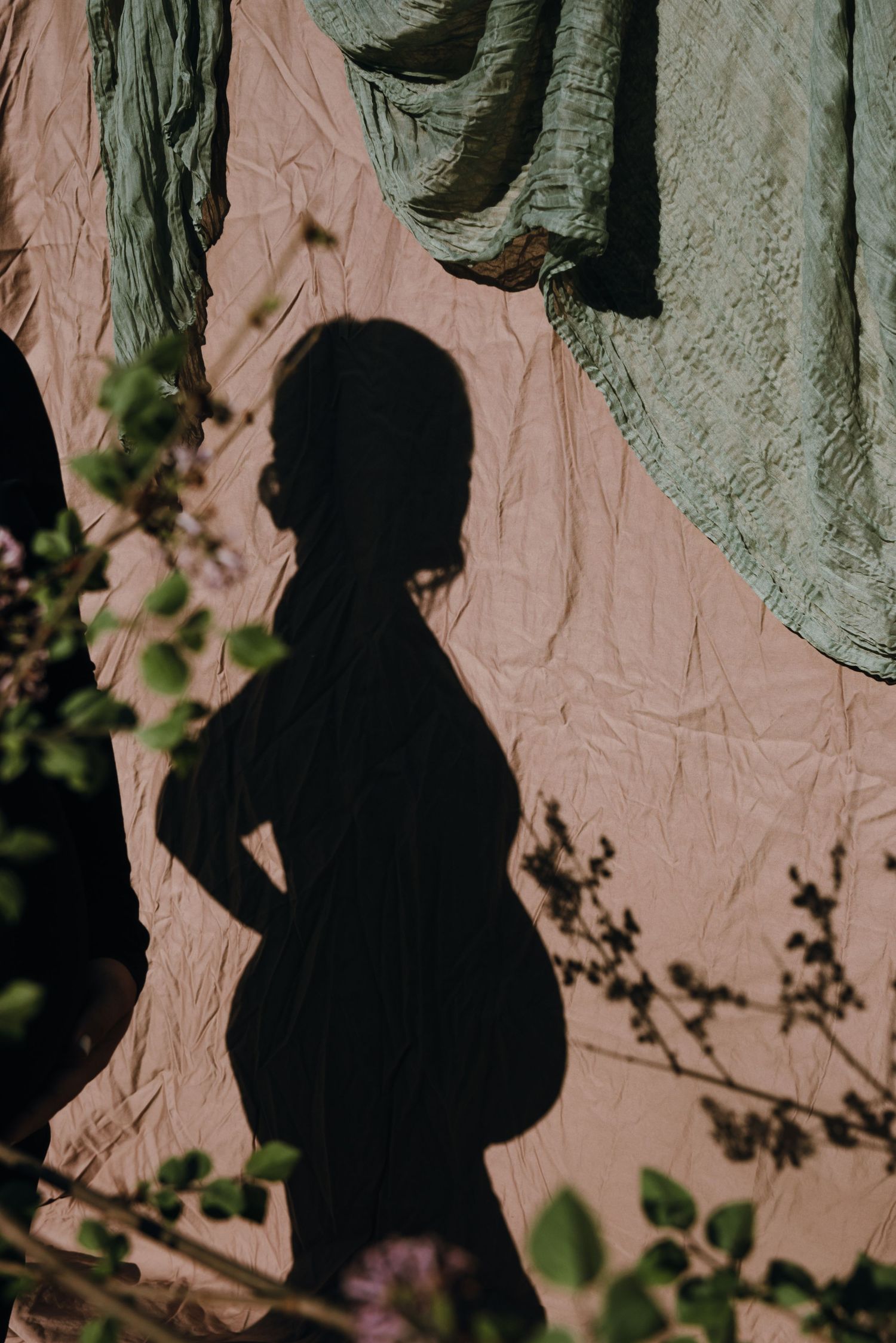 Silhouette of pregnant woman cast on pink fabric backdrop with green foliage.
