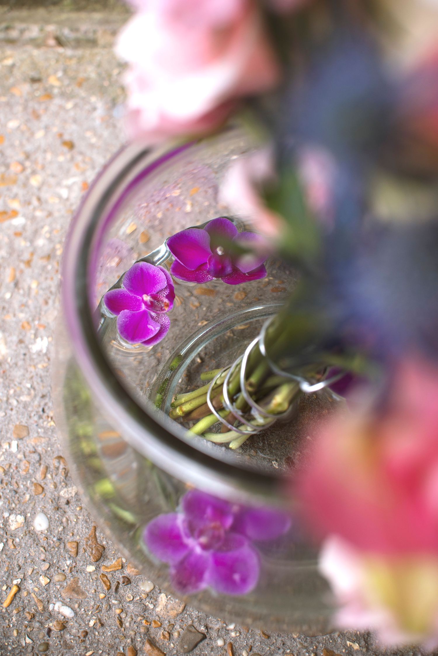Purple orchids reflected in a clear glass vase, surrounded by pink blooms on a stone surface.