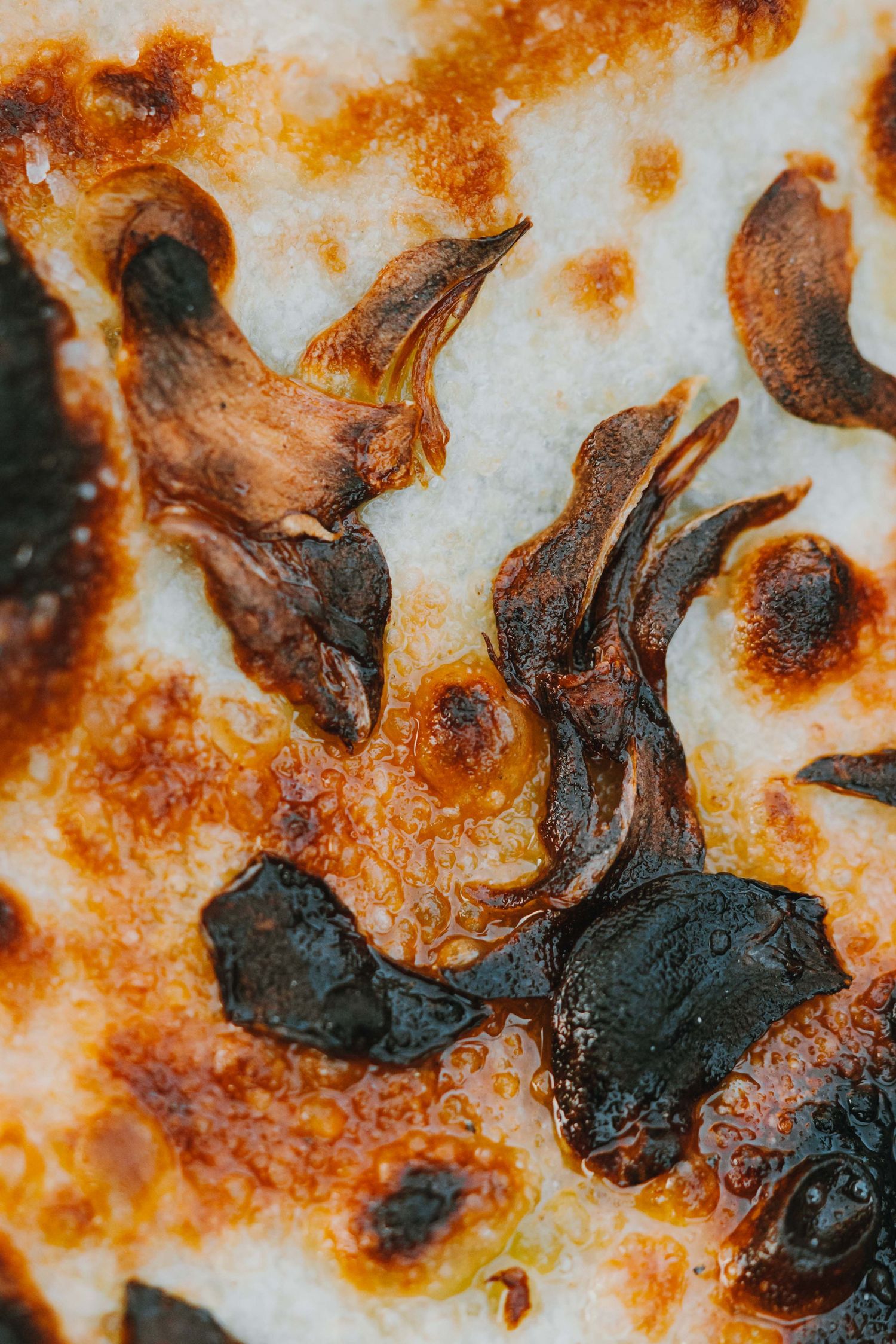 Close-up of a charred pizza with burnt mushroom toppings on melted white cheese and golden crust.
