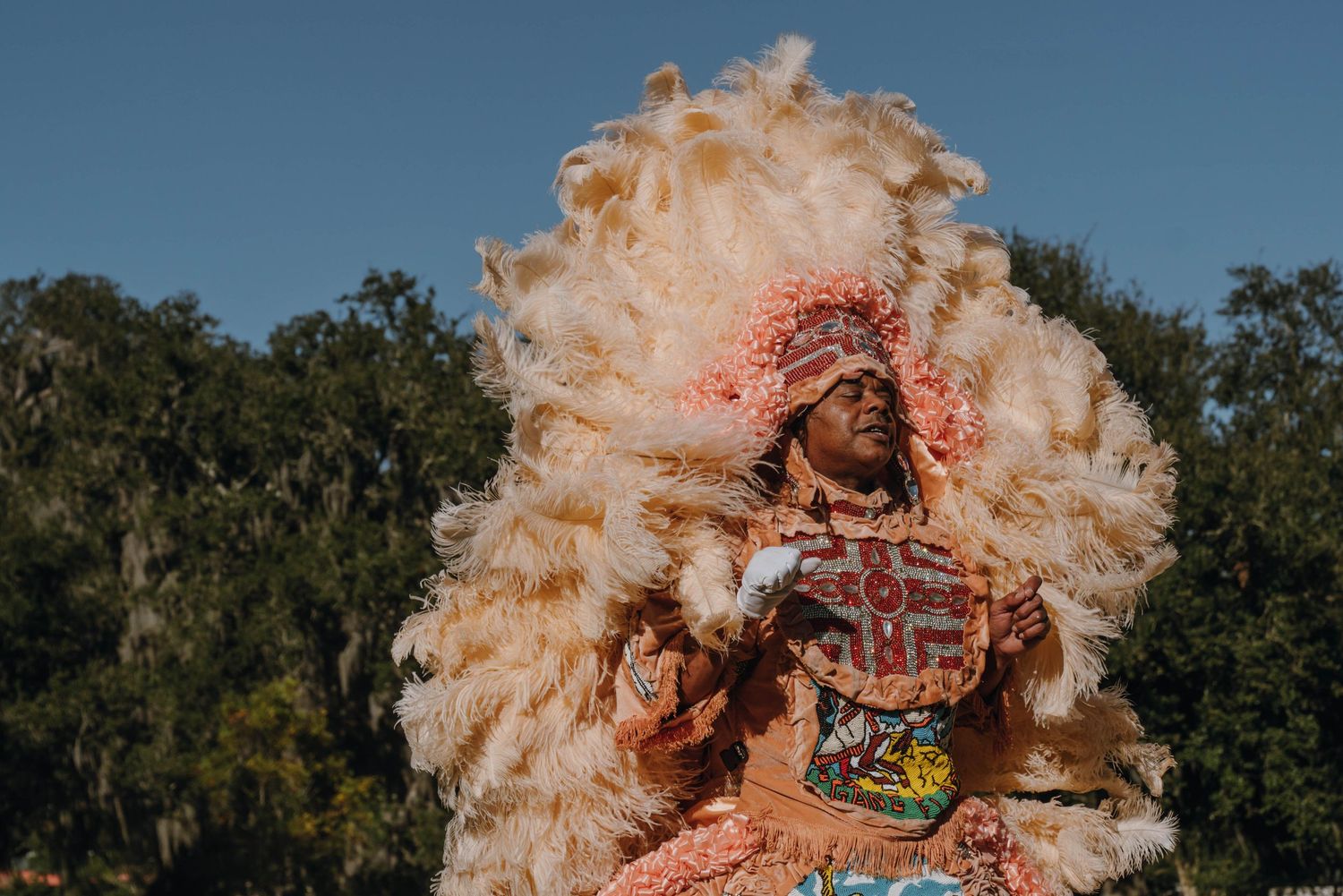 Mardi Gras Indian wearing a large cream and peach feathered headdress and beaded costume in sunlight.