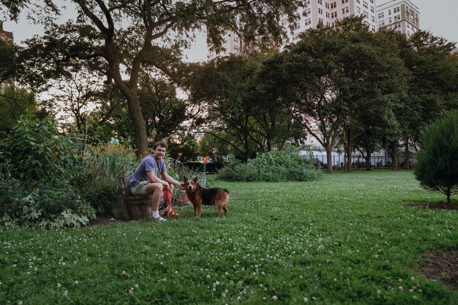 Person sitting on a bench in a lush green park with two dogs at dusk.