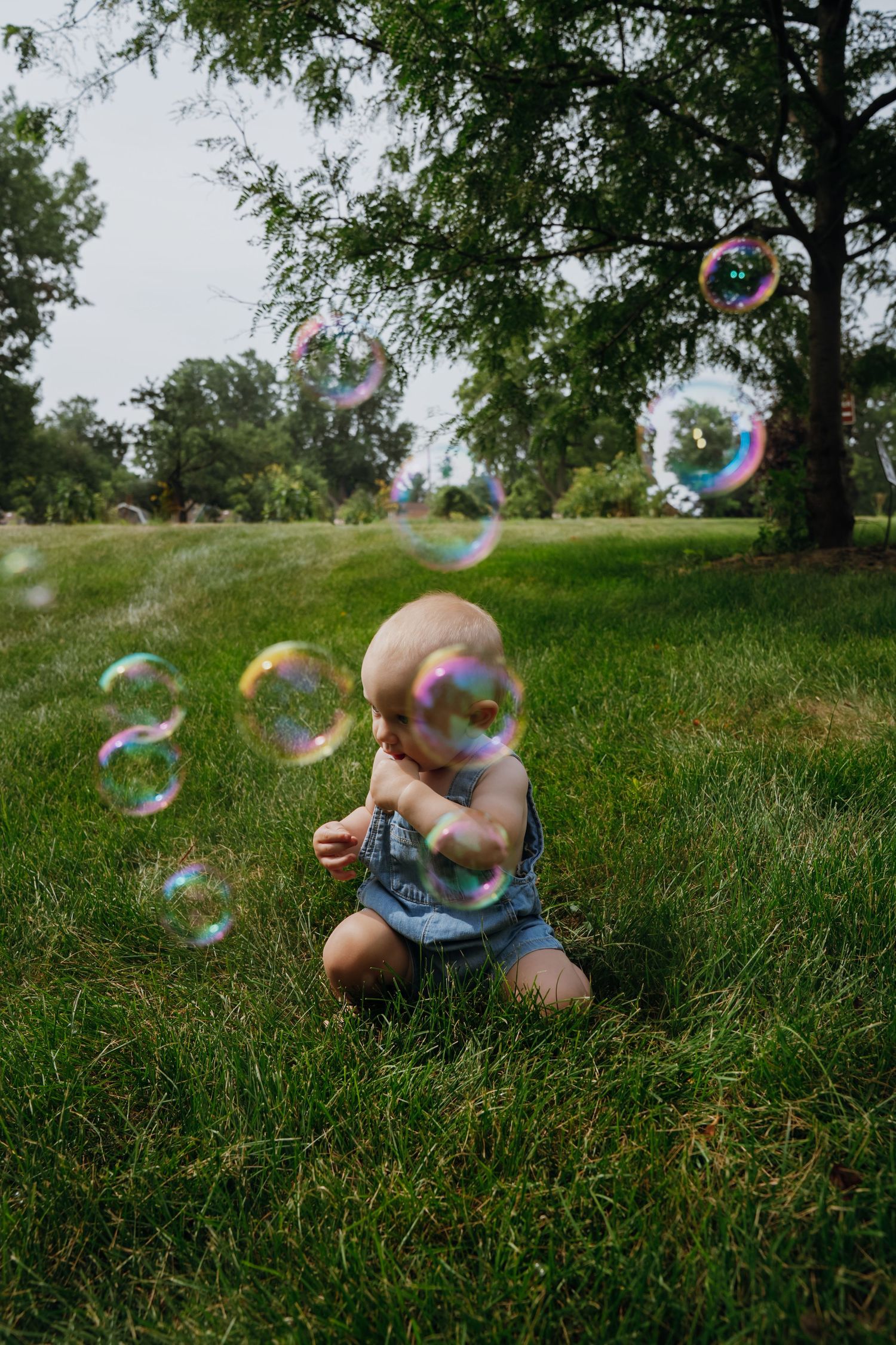 A bald baby in denim overalls sits on green grass reaching toward colorful floating bubbles in a park.