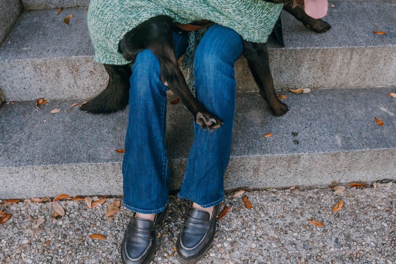 Person sitting on stone steps wearing blue ripped jeans, black loafers, and a green knit top with black gloves.