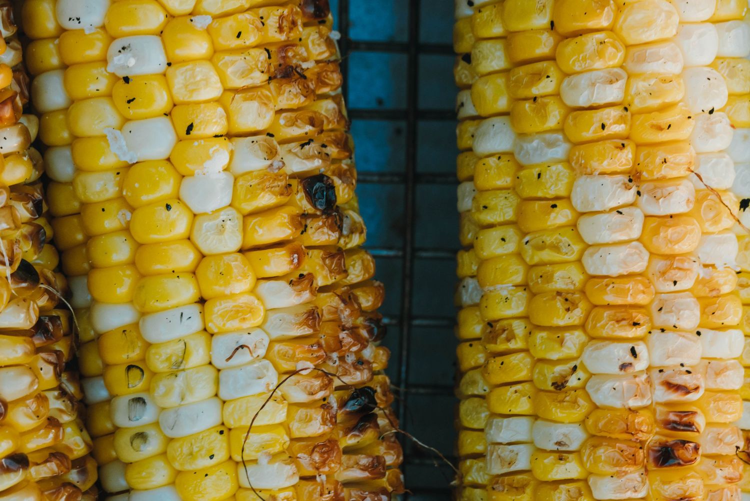 Close-up of grilled corn on the cob with charred kernels on a grill grate.