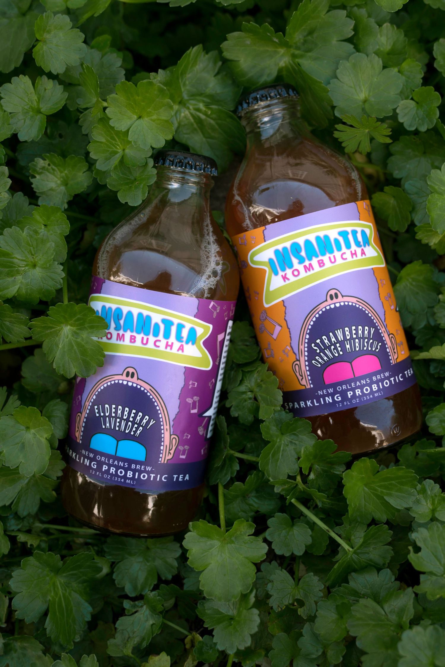 Two bottles of Insani-Tea Kombucha in elderberry lavender and strawberry hibiscus flavors on herbs.