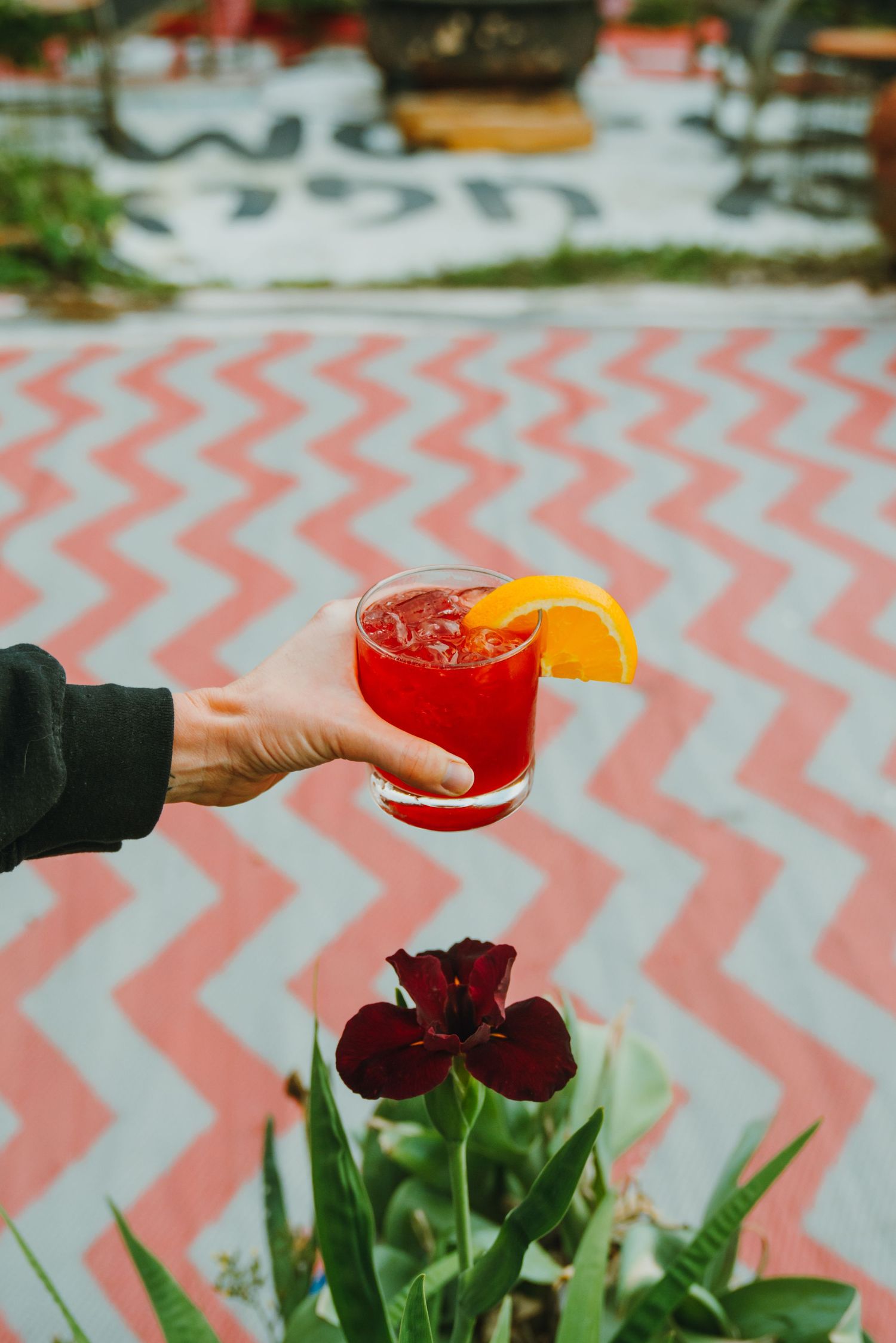 Hand holding a red Negroni cocktail with an orange slice garnish above dark tulips on a colorful patio.
