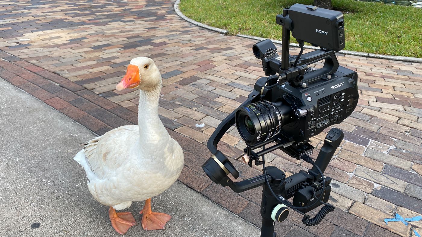 Video Crew.