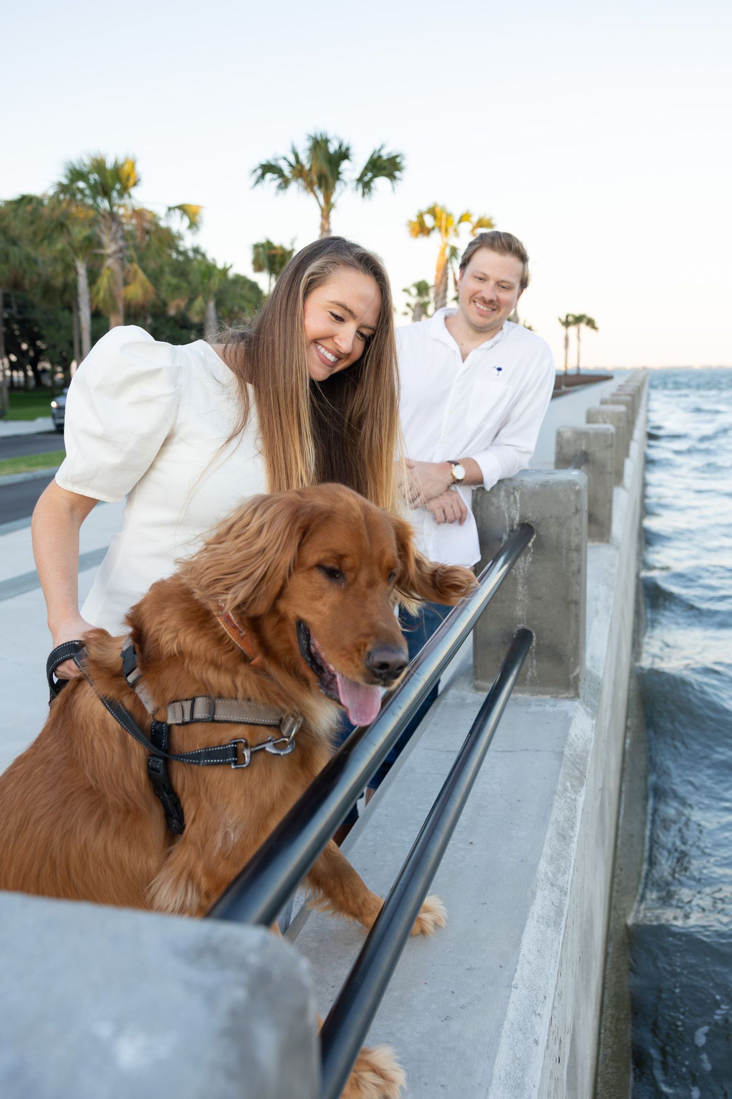 Couple smiling with a golden retriever dog on a waterfront promenade lined with palm trees.