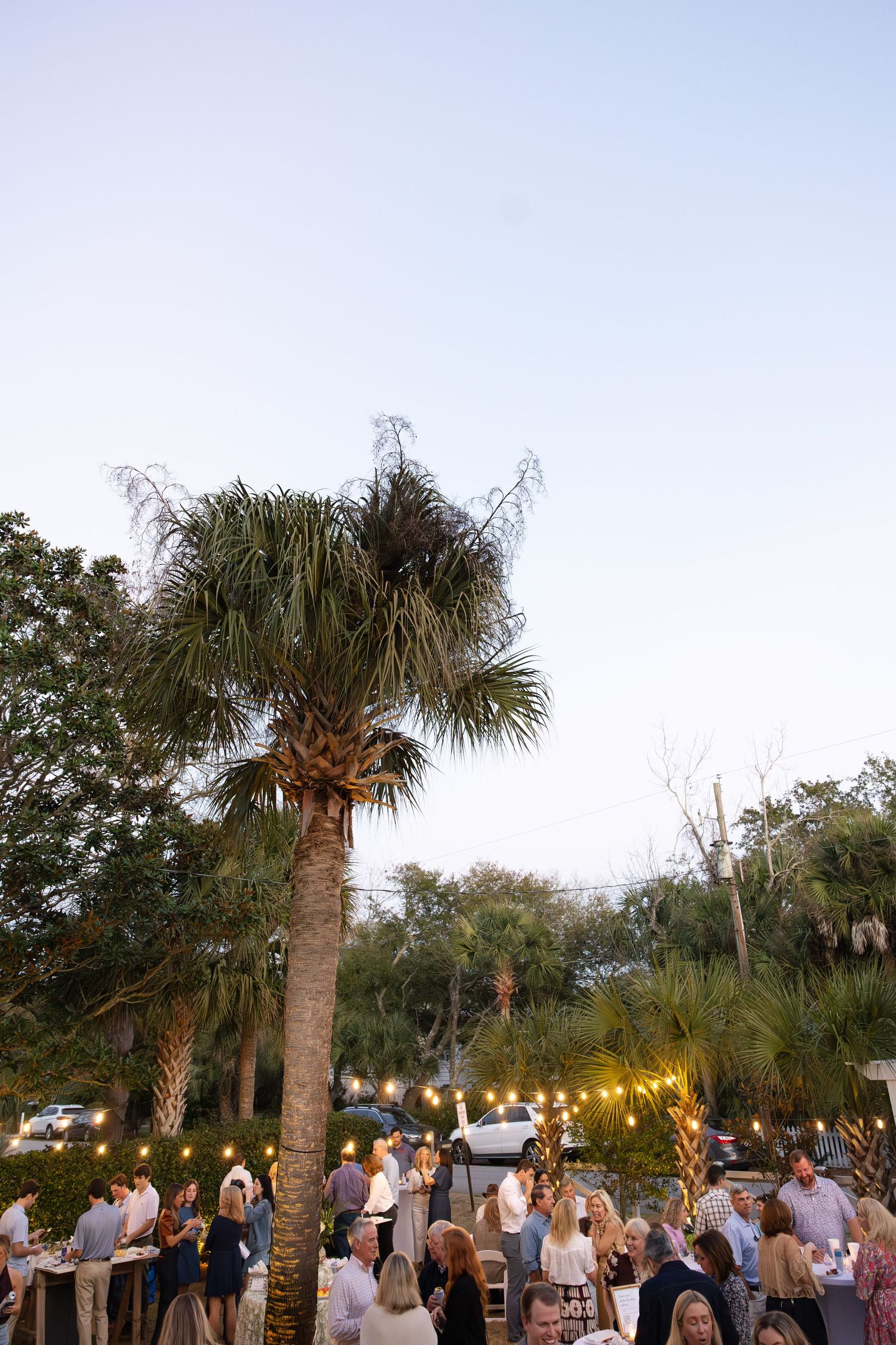 A crowd gathers at an outdoor event under palm trees at dusk with string lights creating a festive atmosphere.