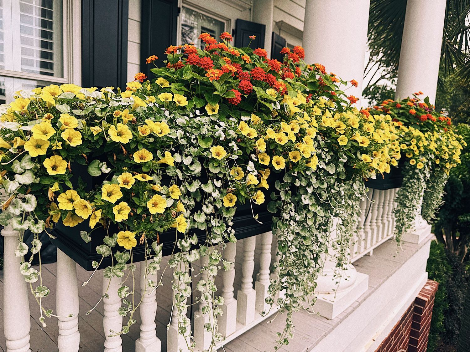 Custom flower boxes handpicked and filled by Charleston Outdoor Design.