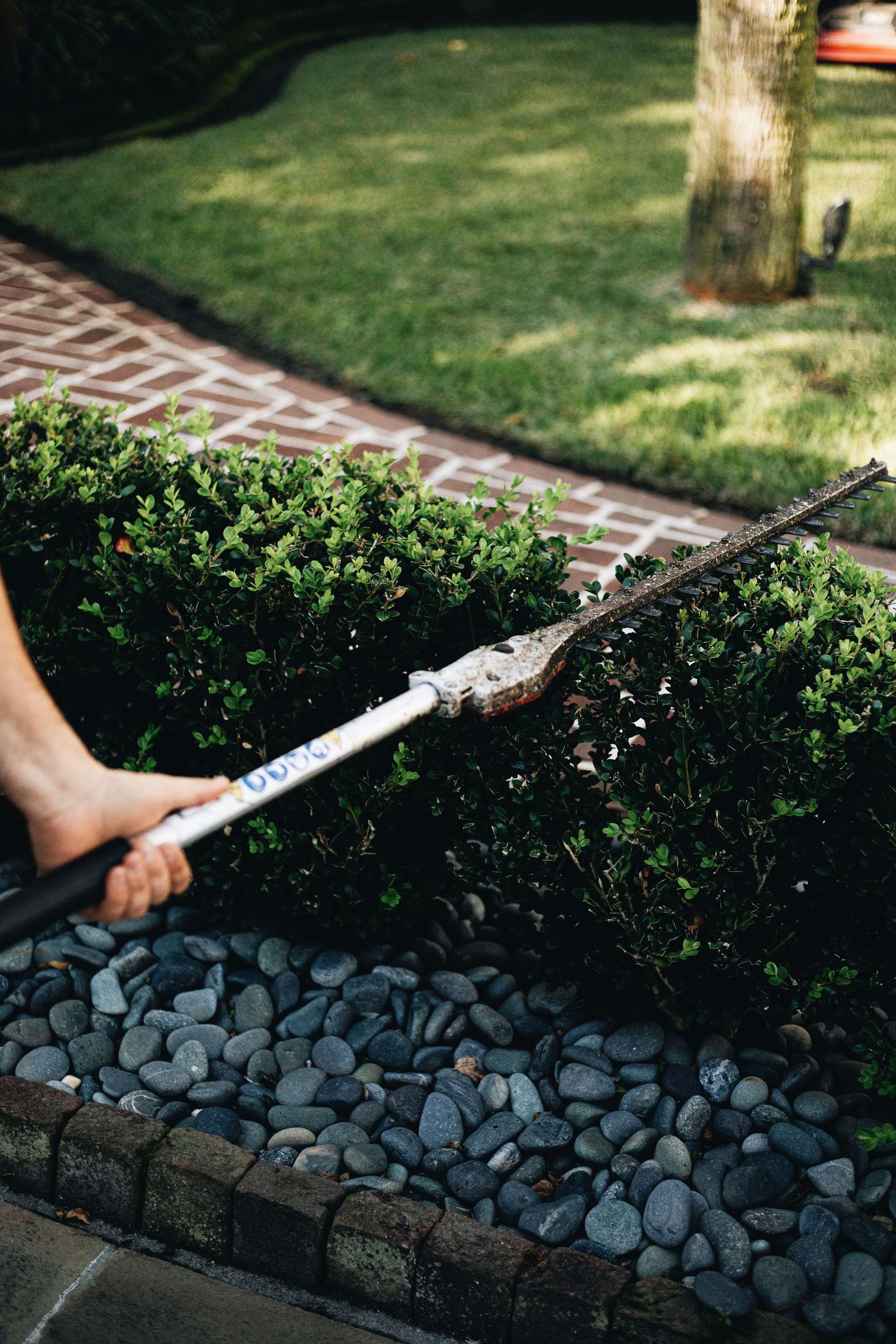 The details of Charleston Outdoor Design's boutique maintenance.