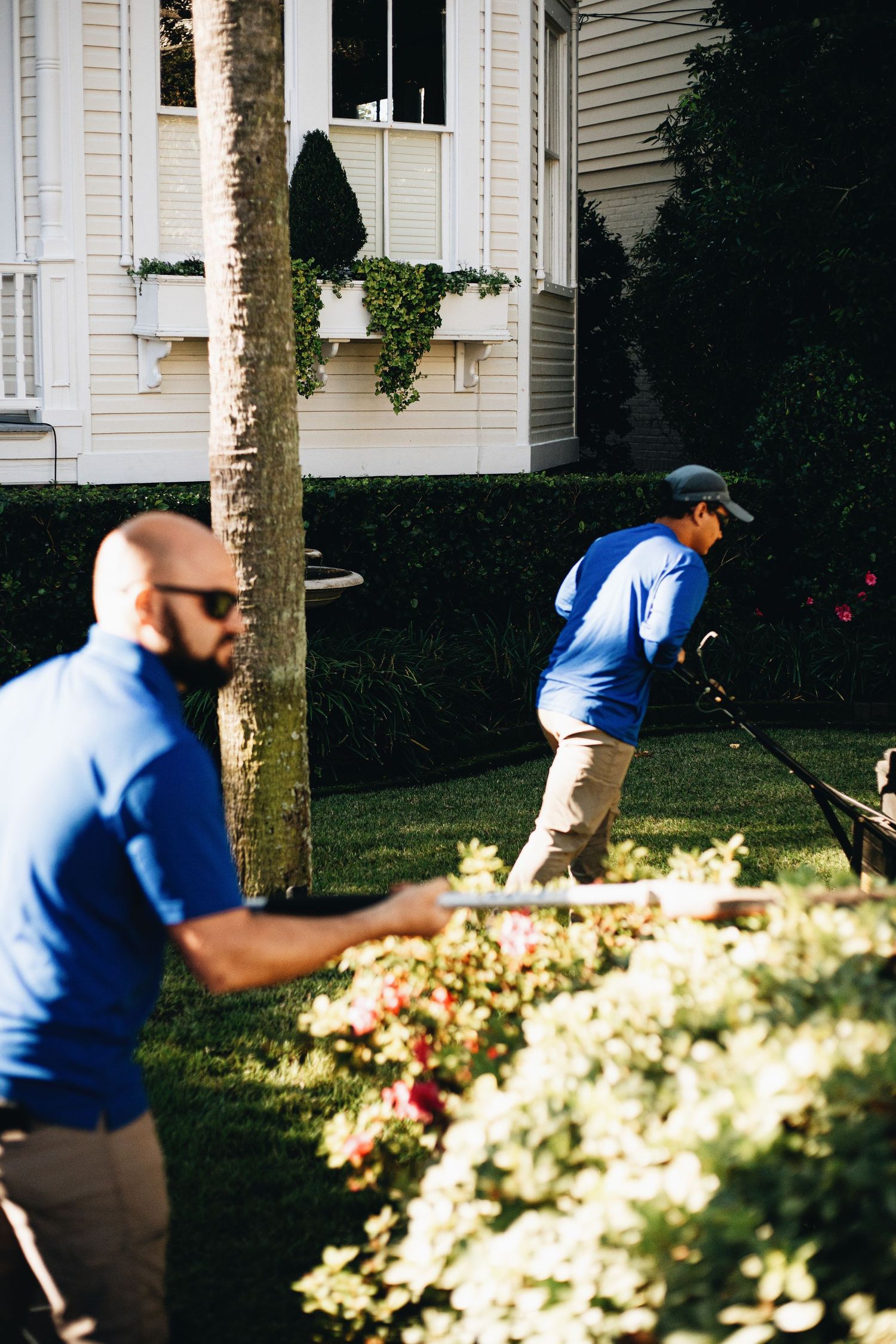 Maintaining a lawn in Charleston, SC.