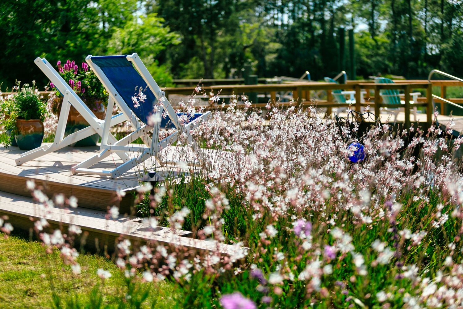 A flower field next to a custom outdoor living space by Charleston Outdoor Design.
