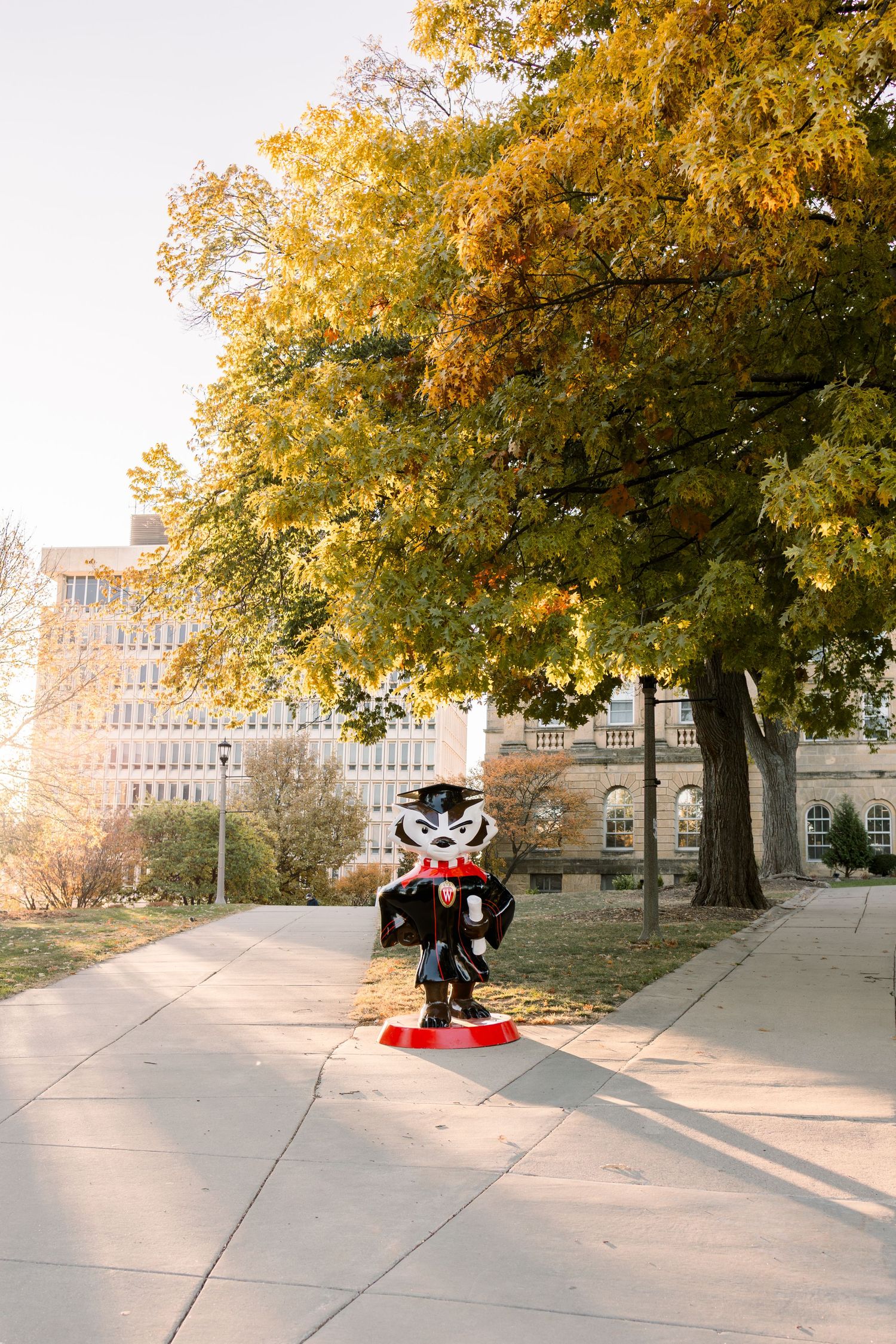 UW-Madison College Grad Session by Cameron June Photography | Madison WI