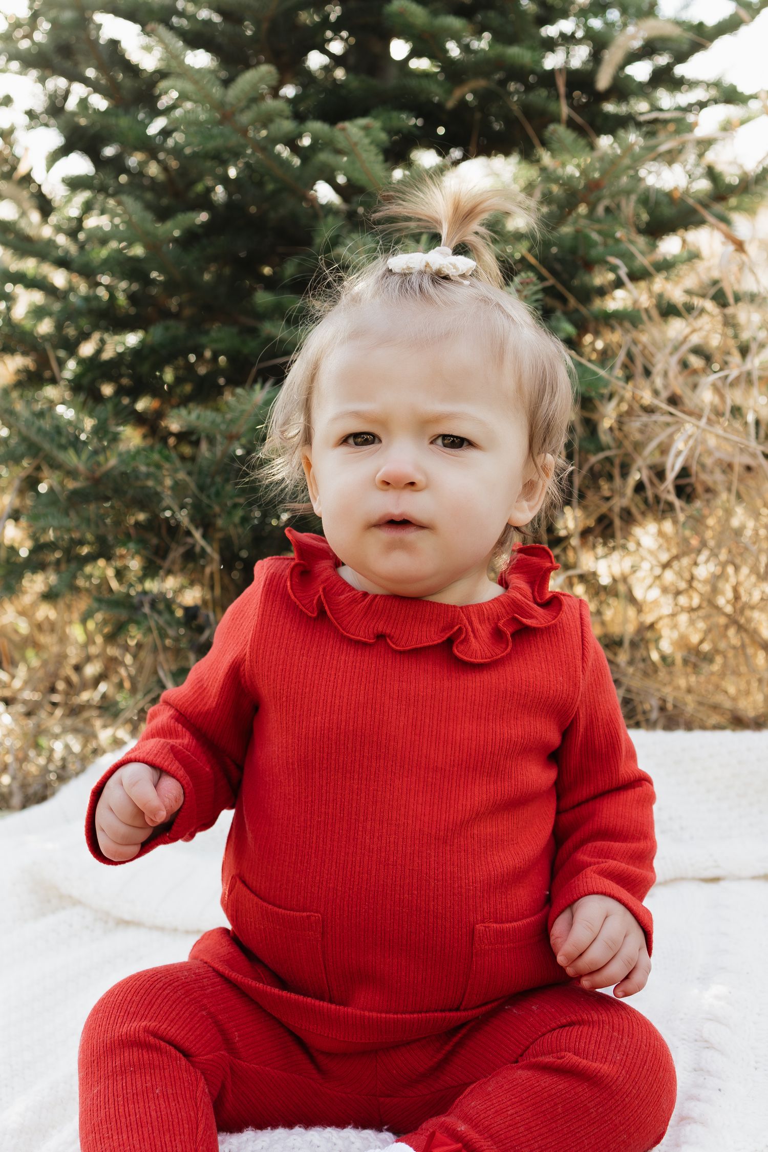 Family Session by Cameron June Photography | Madison WI
