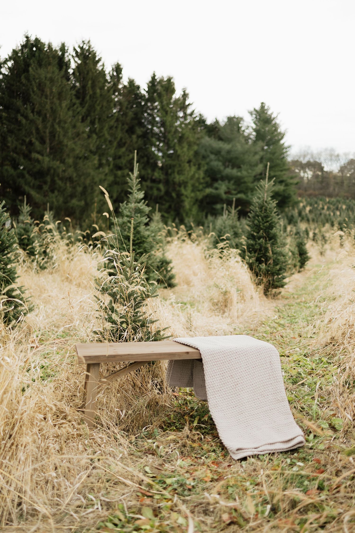 Family Session by Cameron June Photography | Madison WI