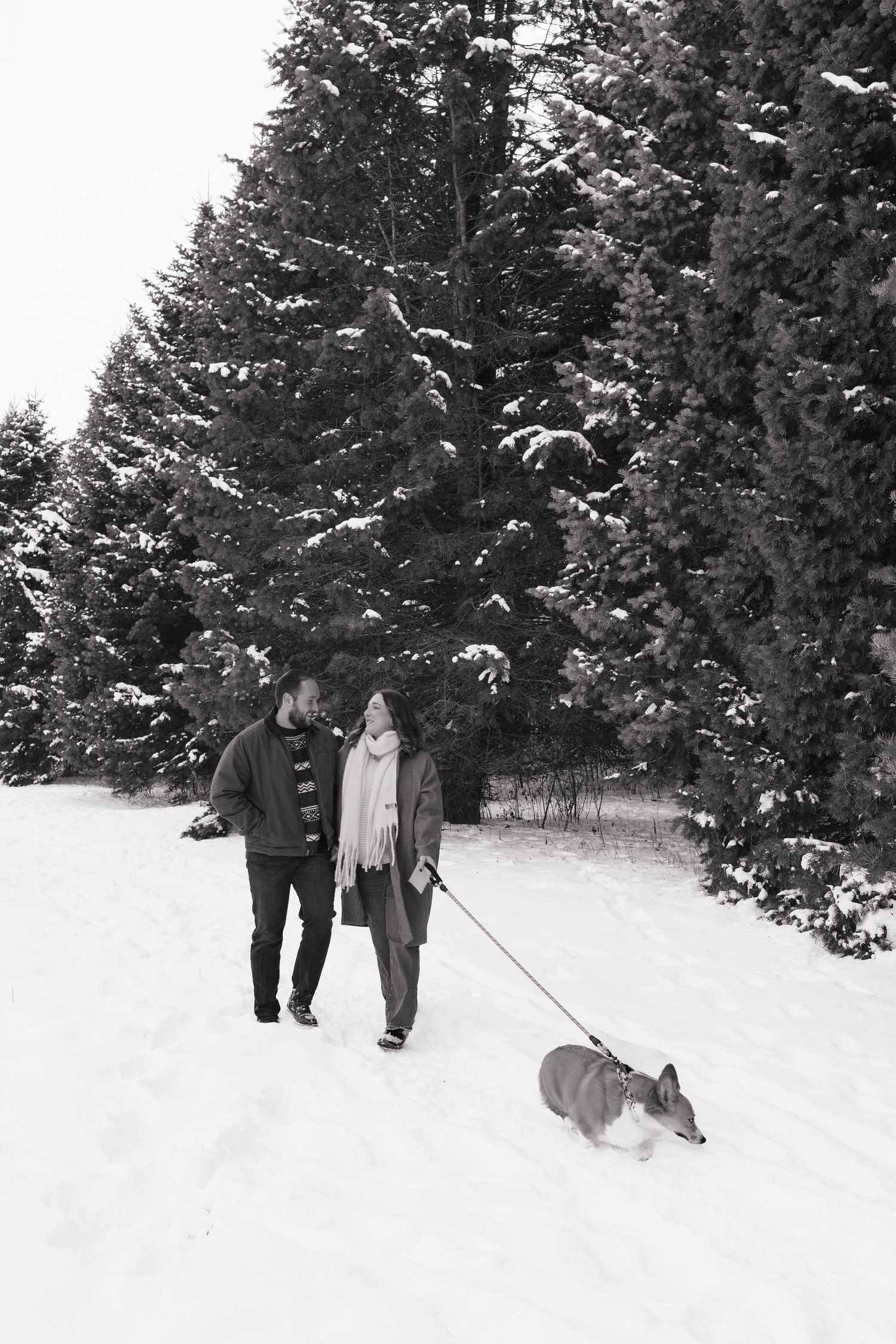 Family Session by Cameron June Photography | Madison WI