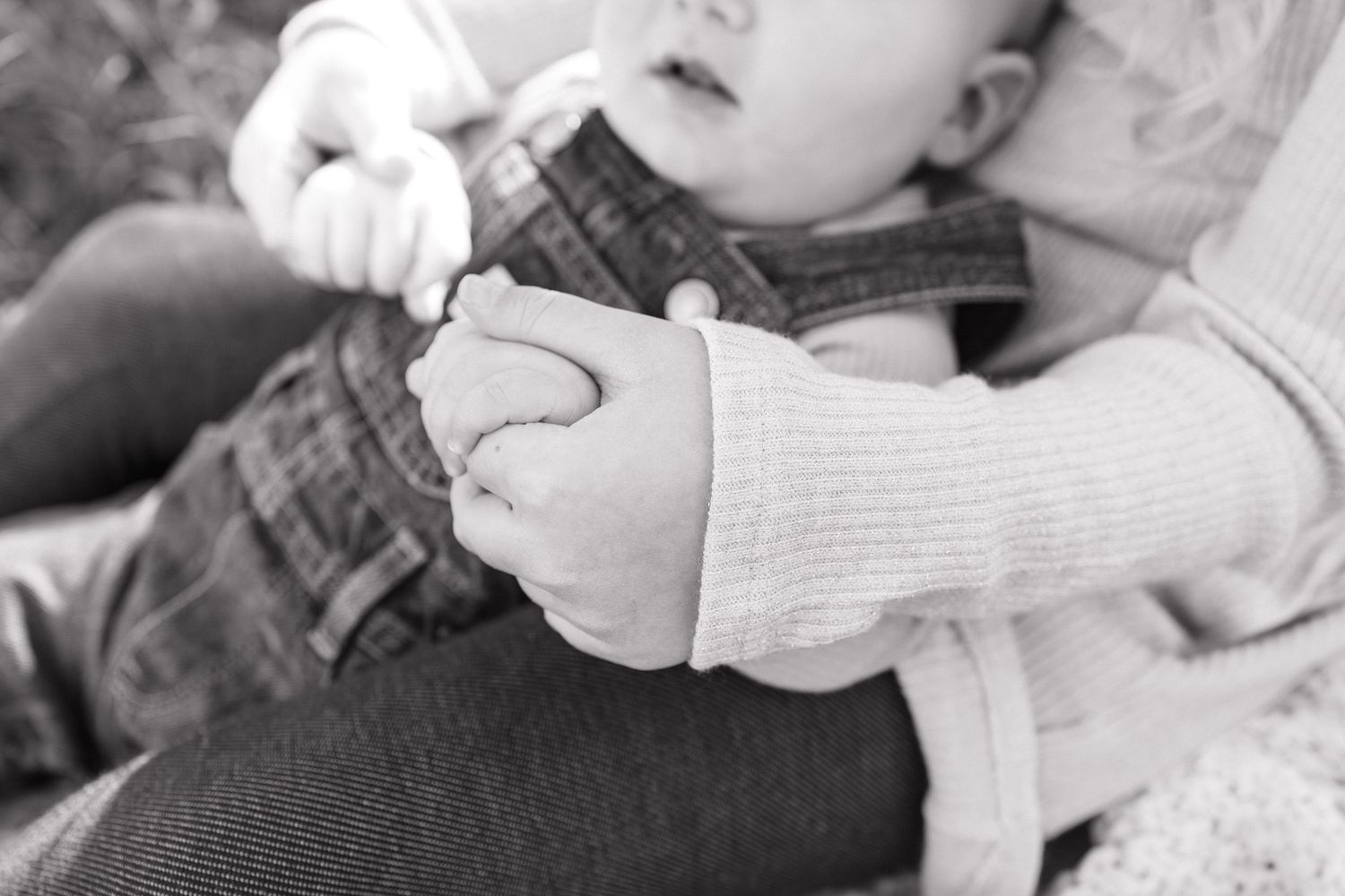 Family Session by Cameron June Photography | Madison WI
