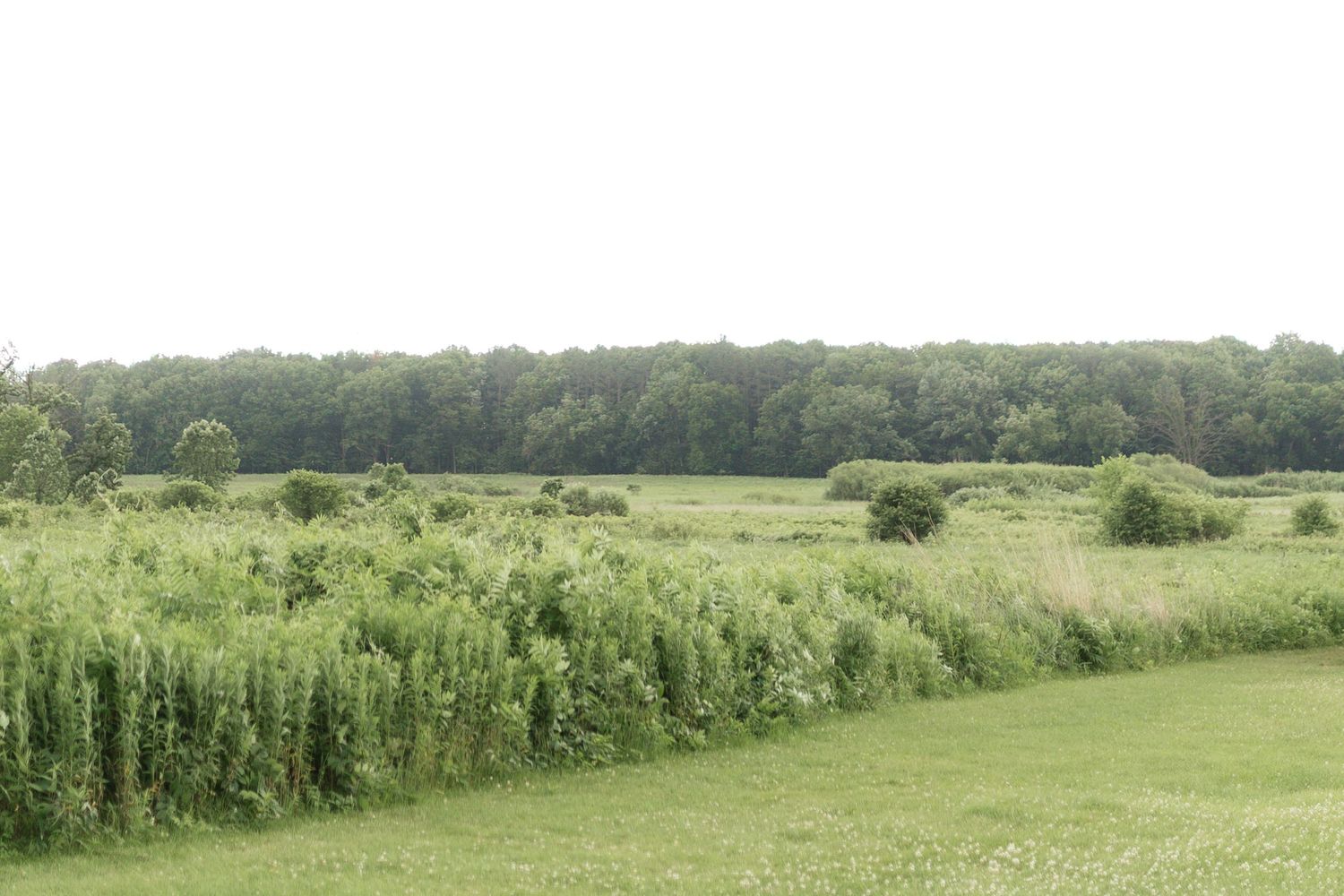 Rolling green fields and farmland stretch across a scenic rural landscape on a sunny day.