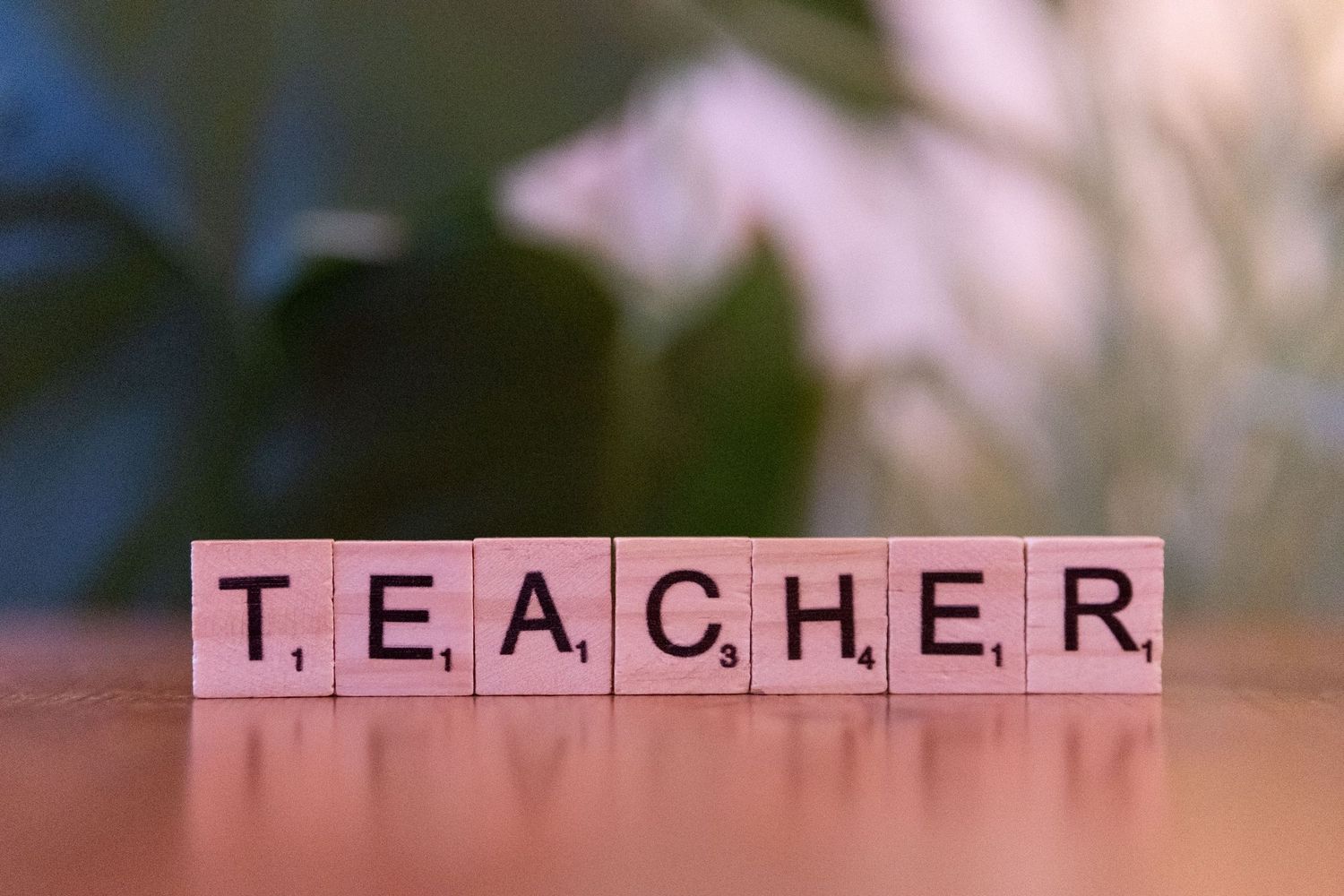Scrabble tiles spelling TEACHER arranged in a row on a wooden surface with blurred green background.