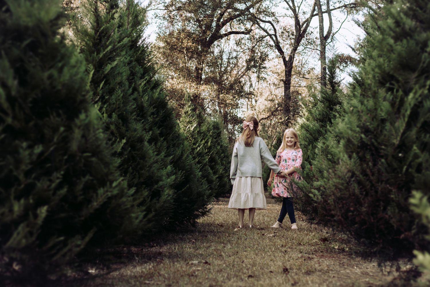 Family walking through evergreen trees during an outdoor photo session.